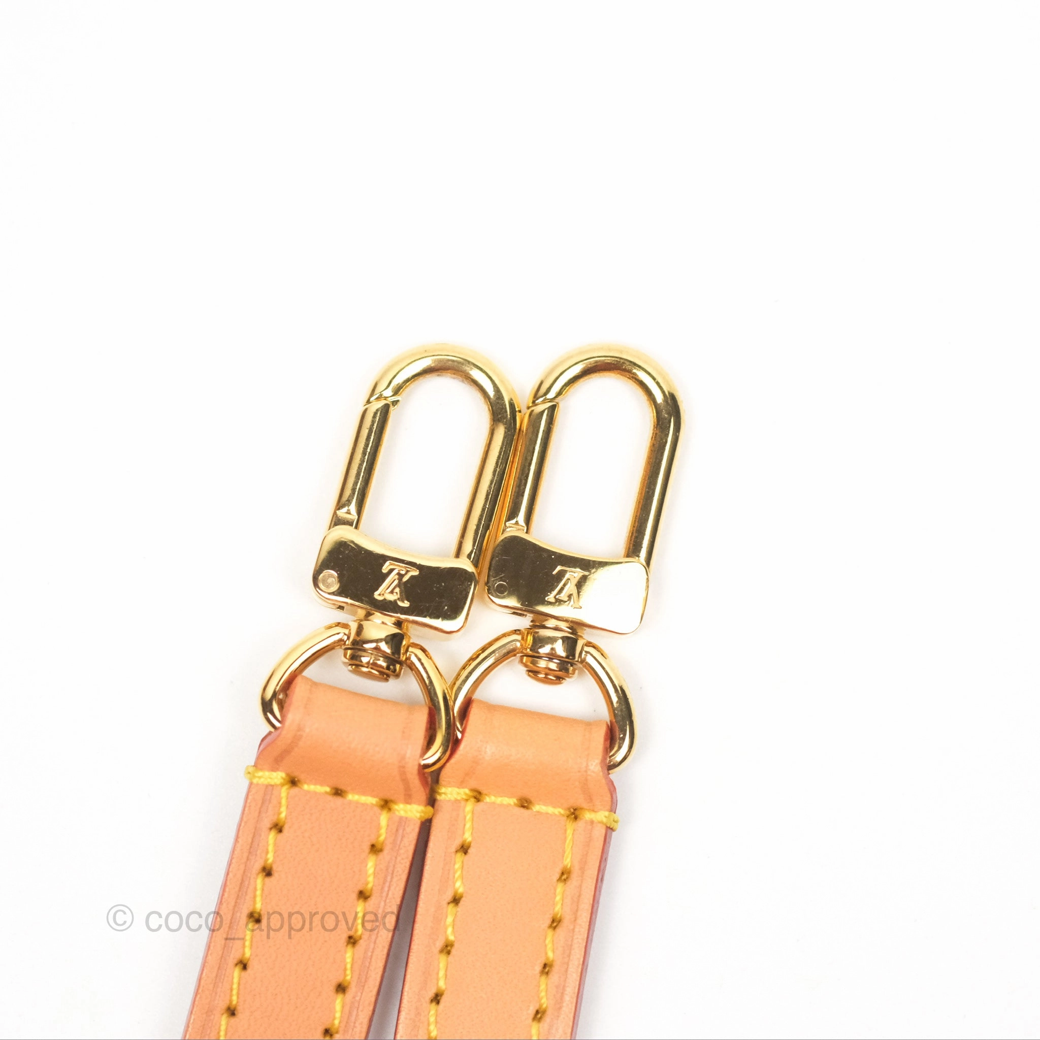 Louis Vuitton Nano Noe Monogram Canvas