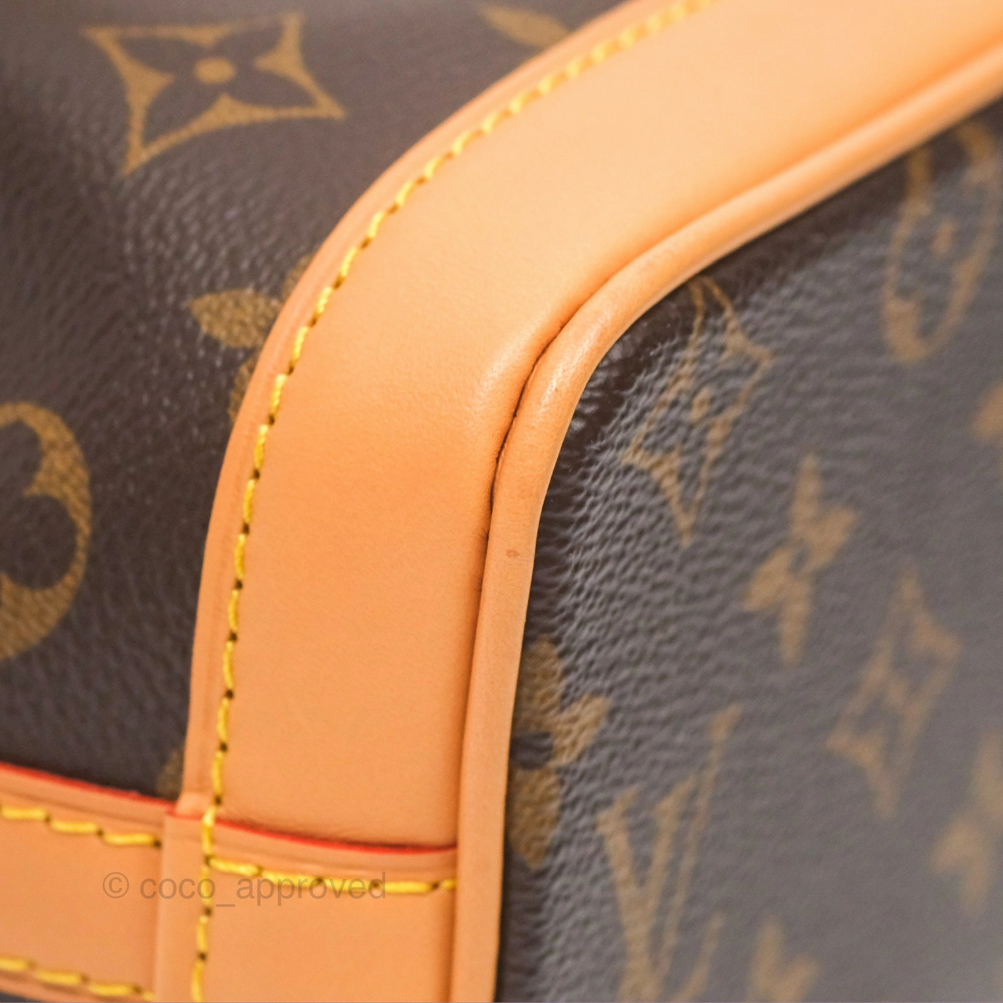 Louis Vuitton Nano Noe Monogram Canvas