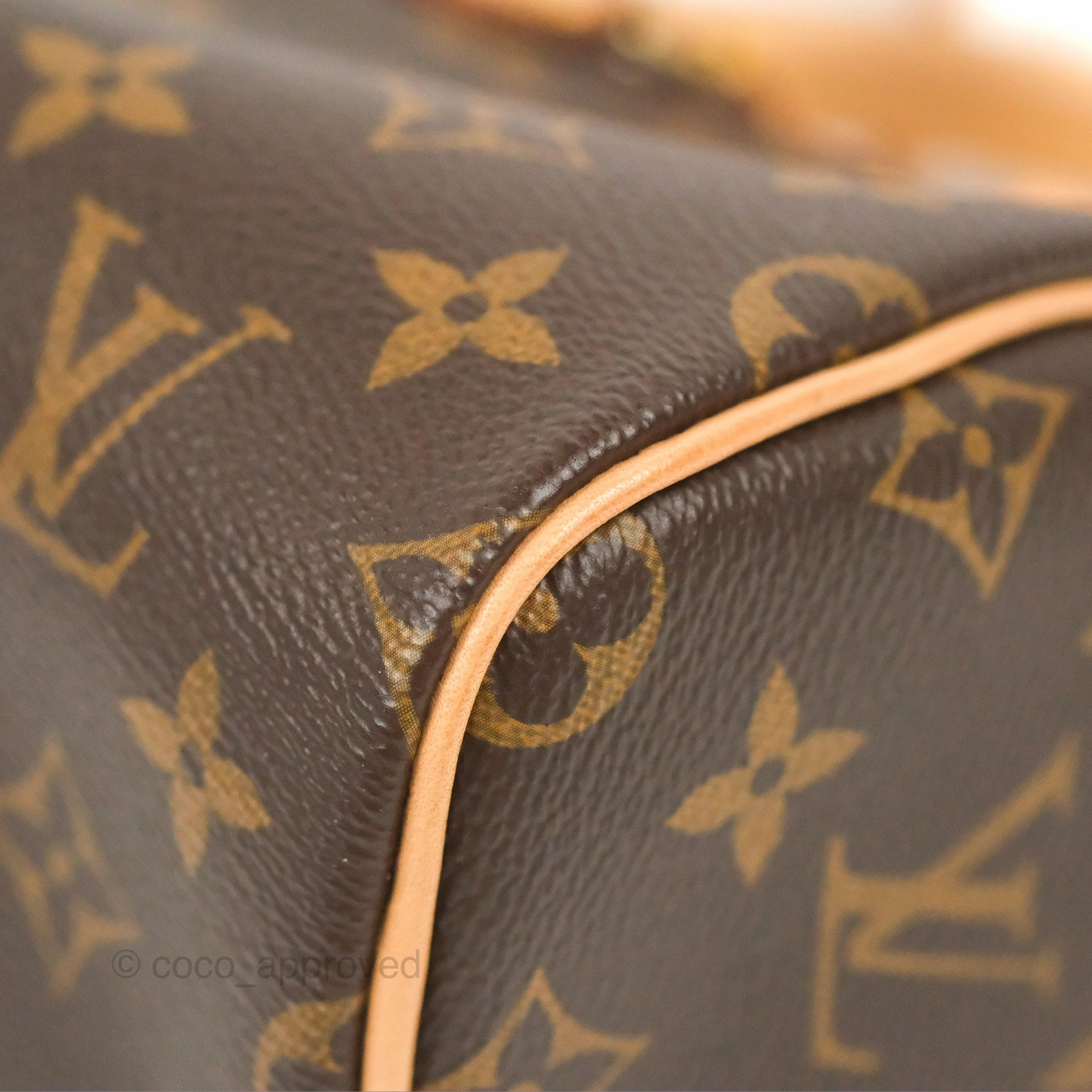Louis Vuitton Nano Speedy Monogram