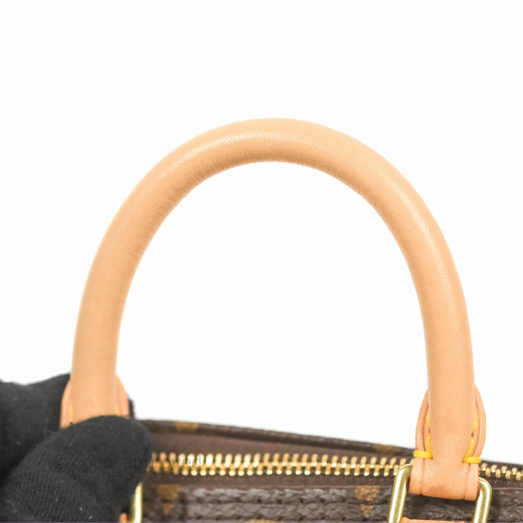Louis Vuitton Nano Speedy Monogram