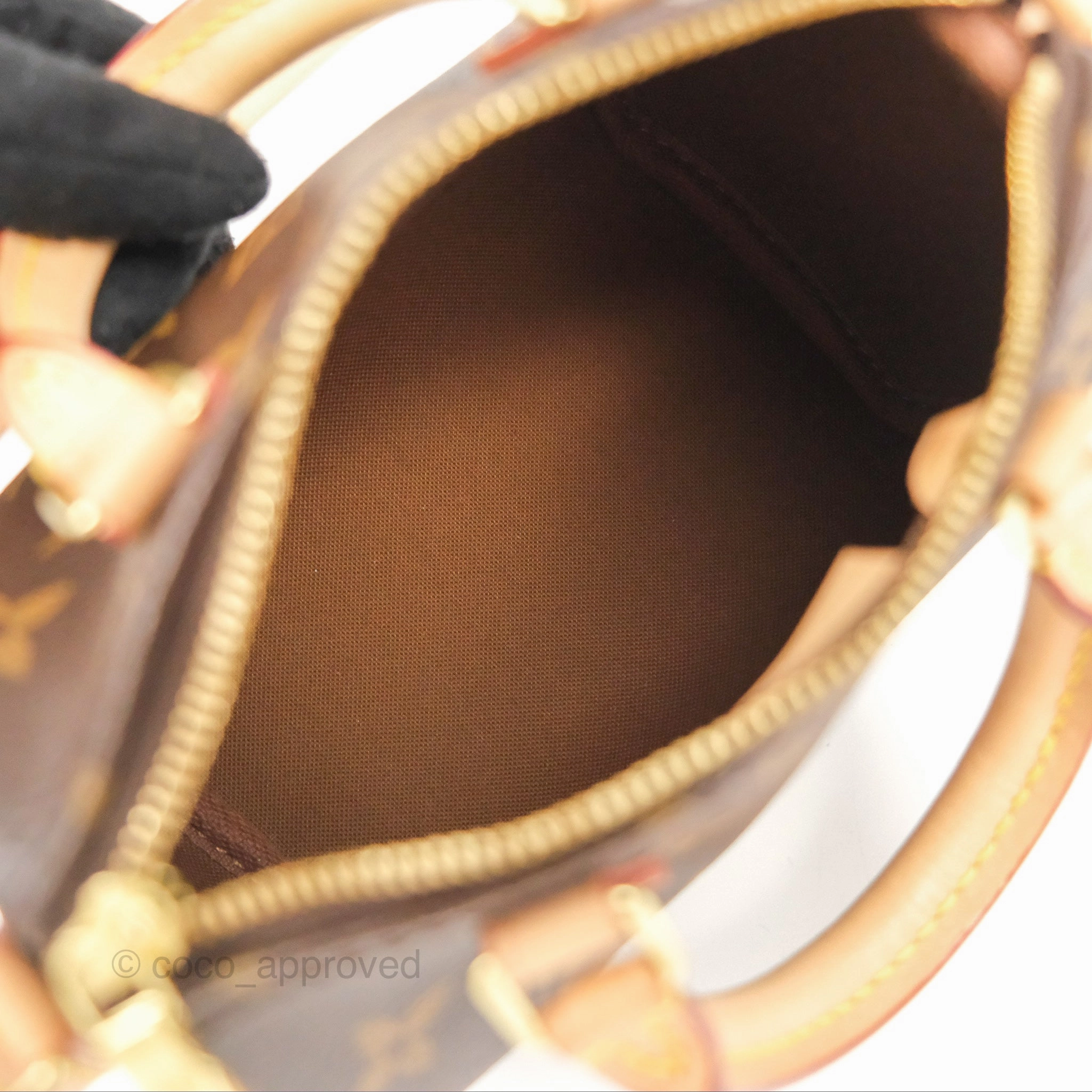 Louis Vuitton Nano Speedy Monogram