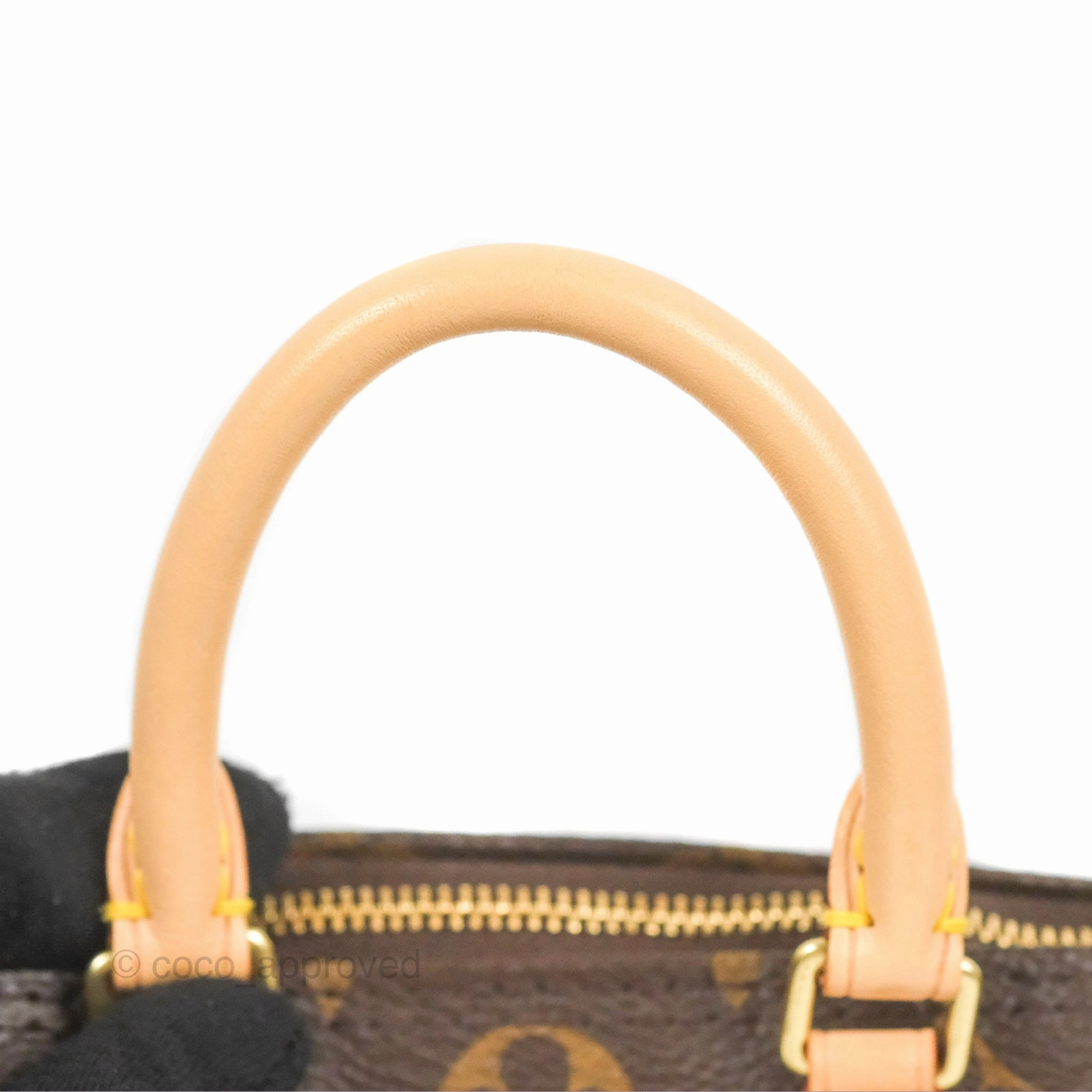 Louis Vuitton Nano Speedy Monogram