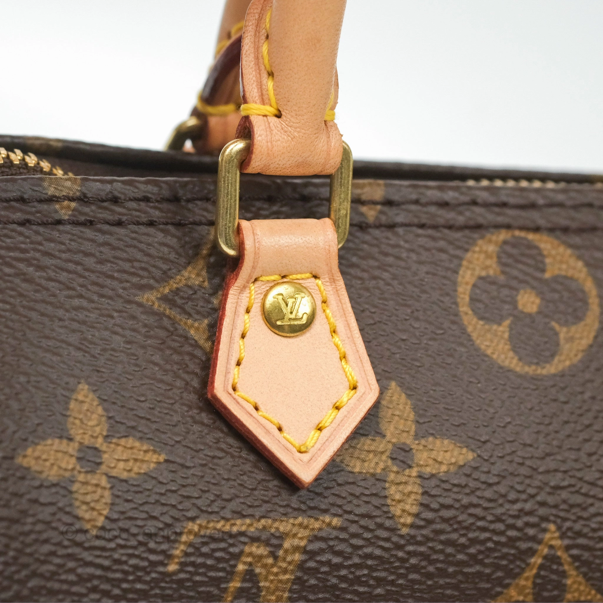 Louis Vuitton Nano Speedy Monogram Canvas