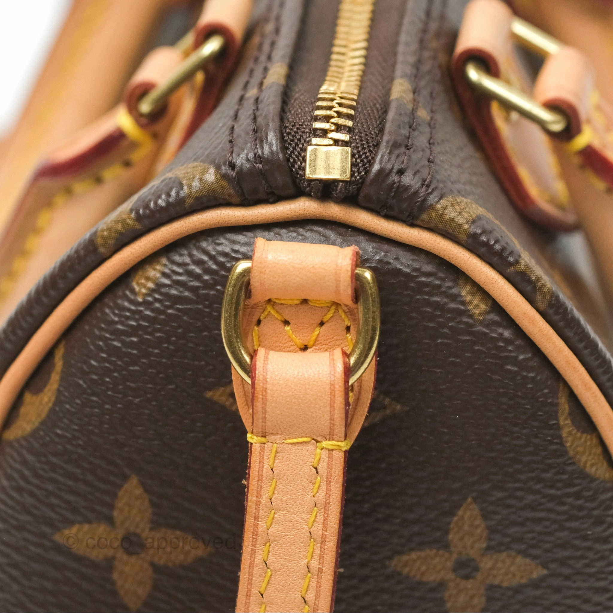Louis Vuitton Nano Speedy Monogram Canvas