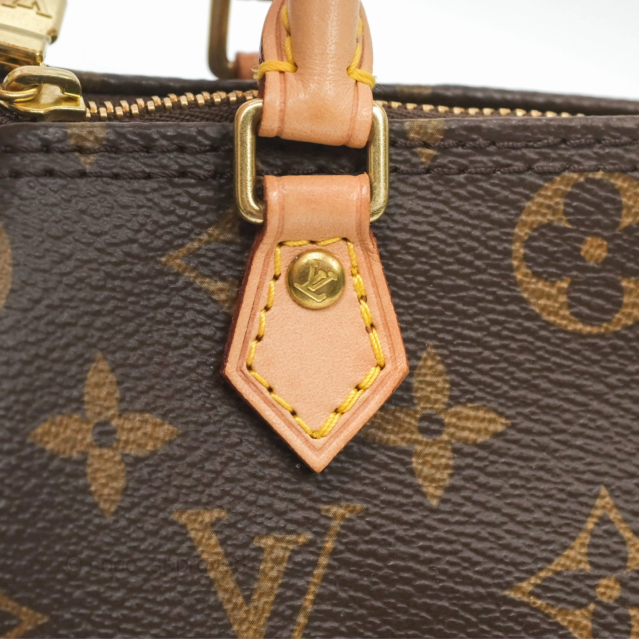 Louis Vuitton Nano Speedy Monogram Canvas