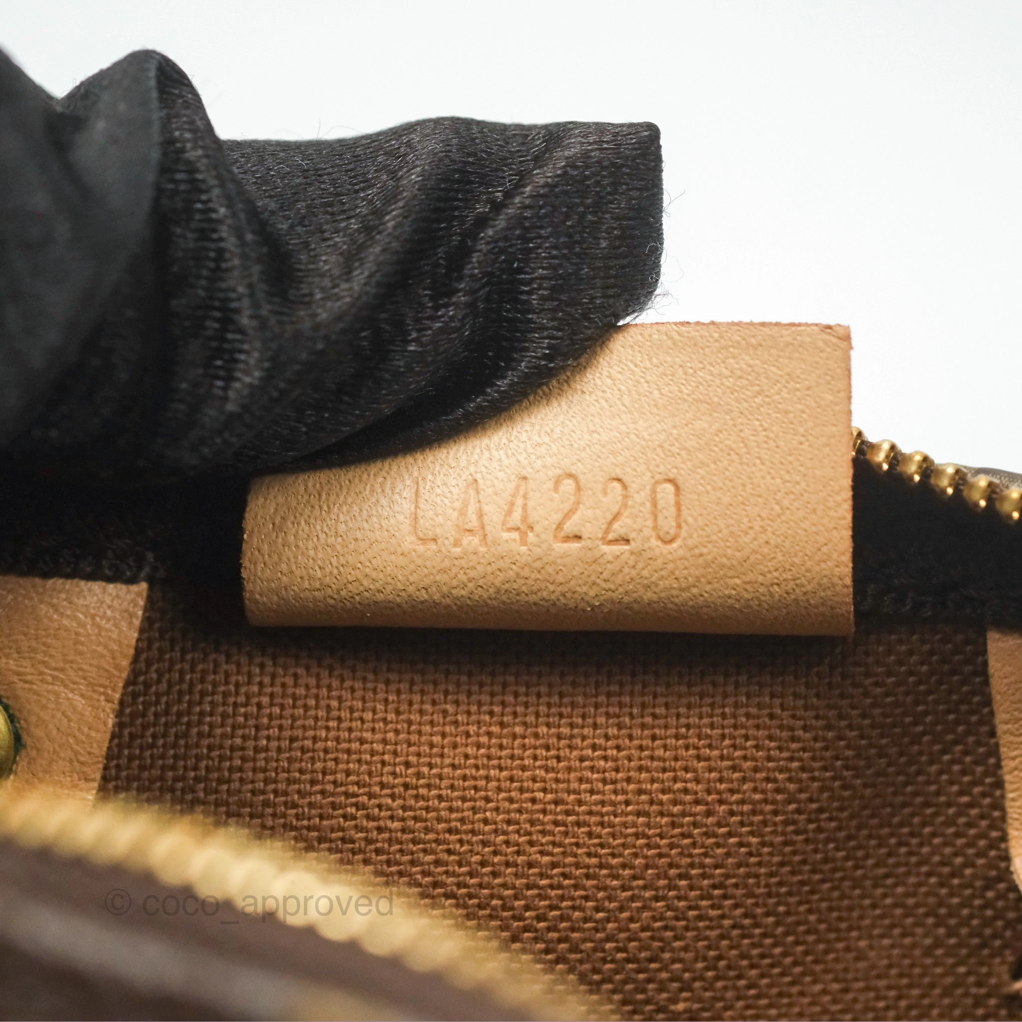 Louis Vuitton Nano Speedy Monogram Canvas
