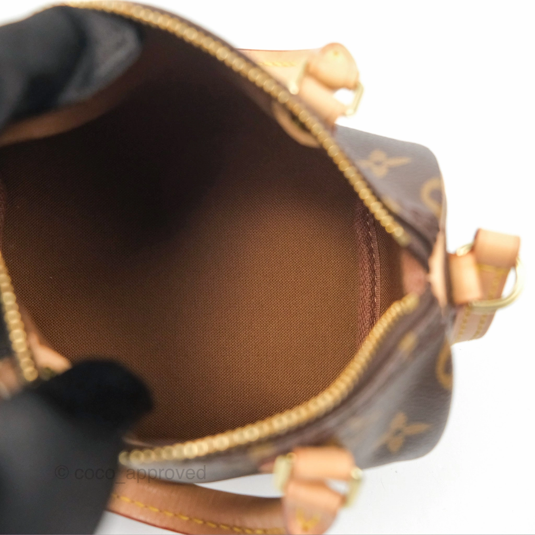 Louis Vuitton Nano Speedy Monogram Canvas