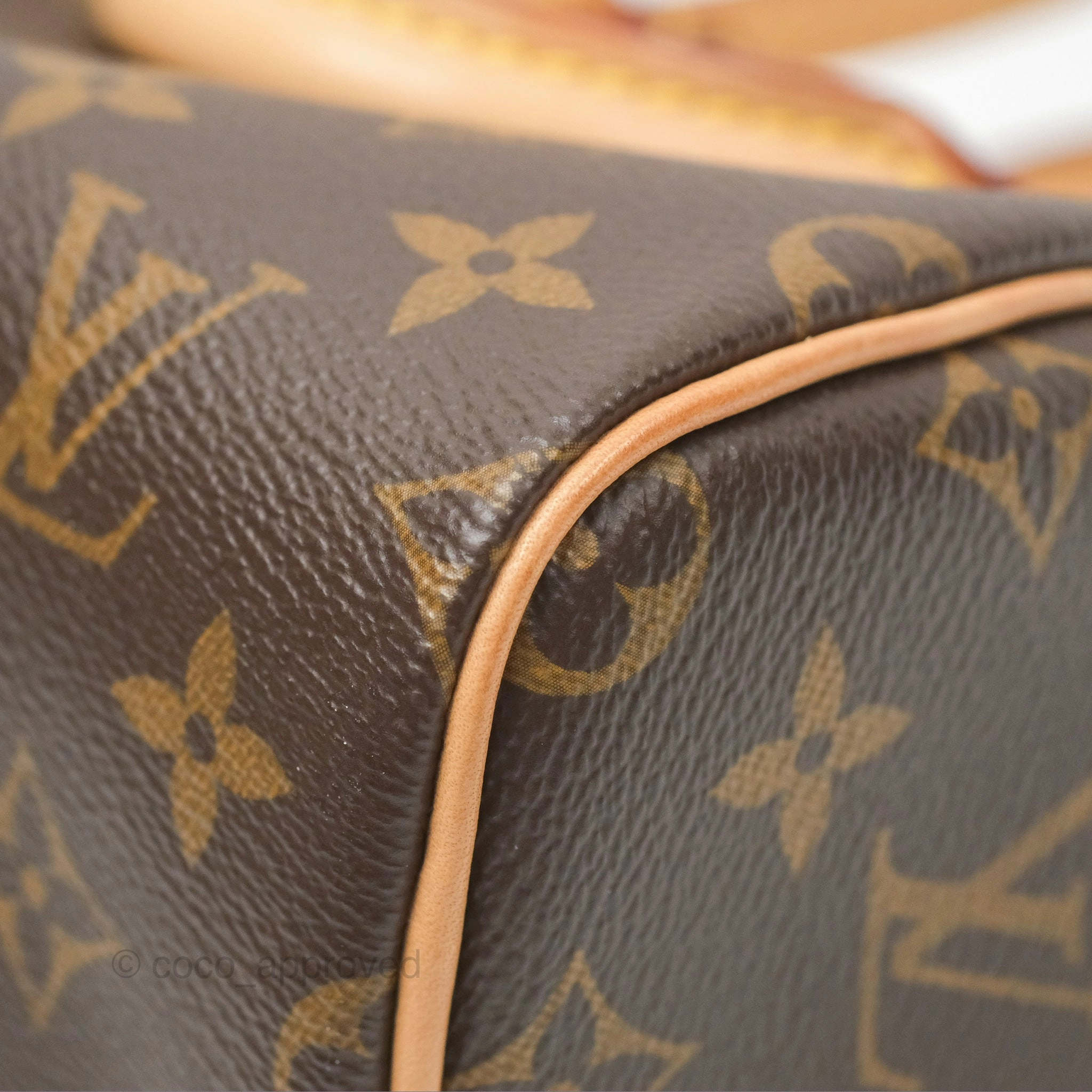 Louis Vuitton Nano Speedy Monogram Canvas