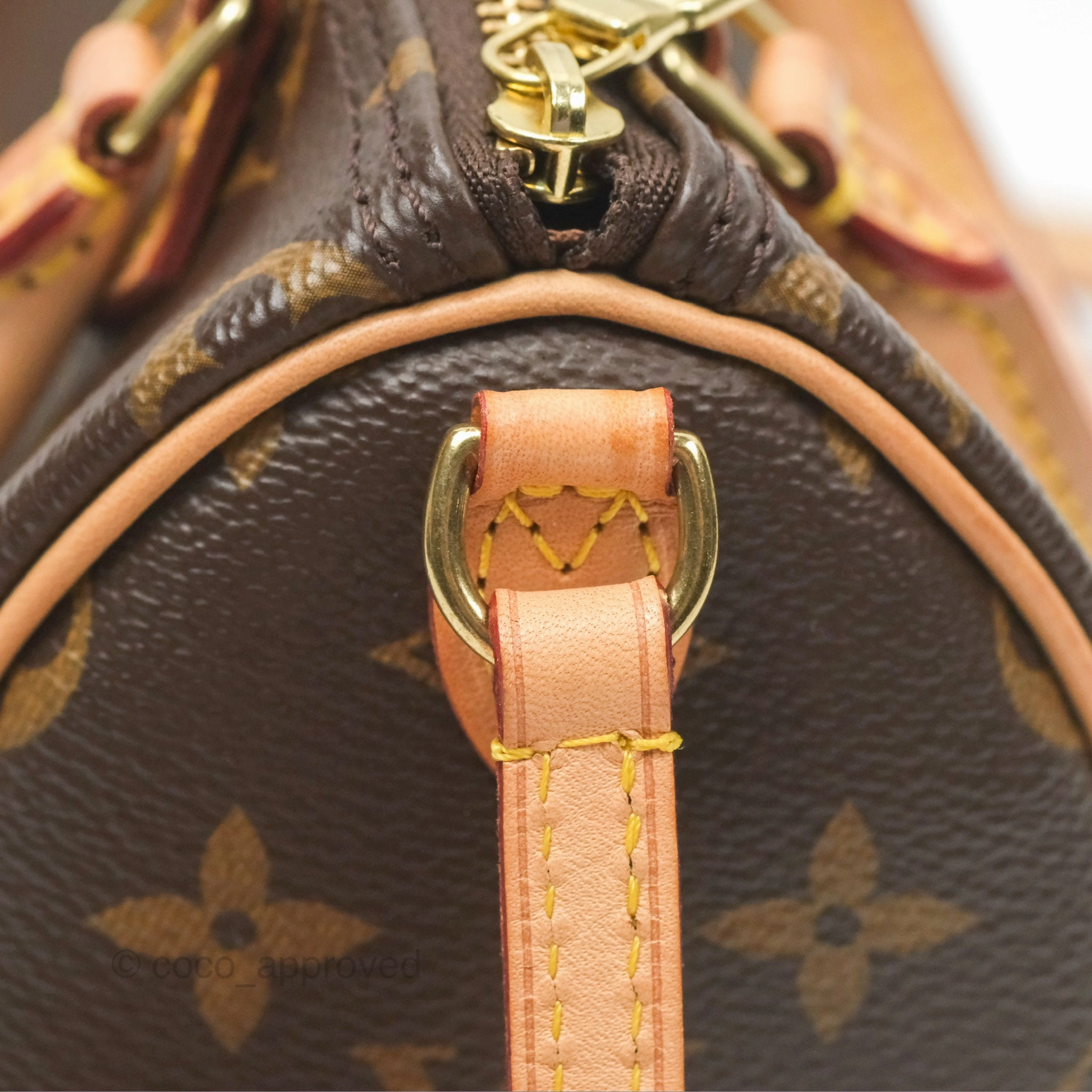 Louis Vuitton Nano Speedy Monogram Canvas