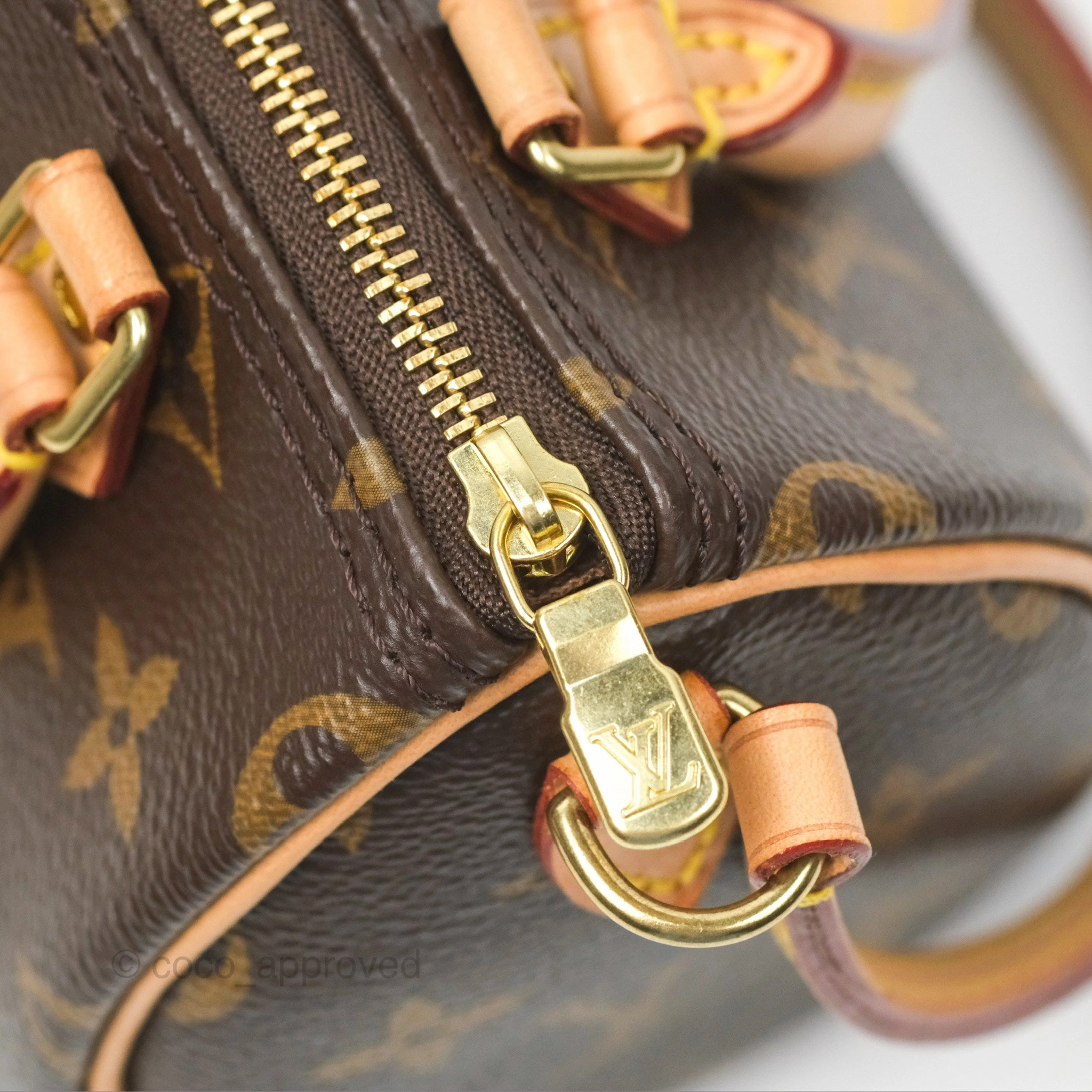 Louis Vuitton Nano Speedy Monogram Canvas