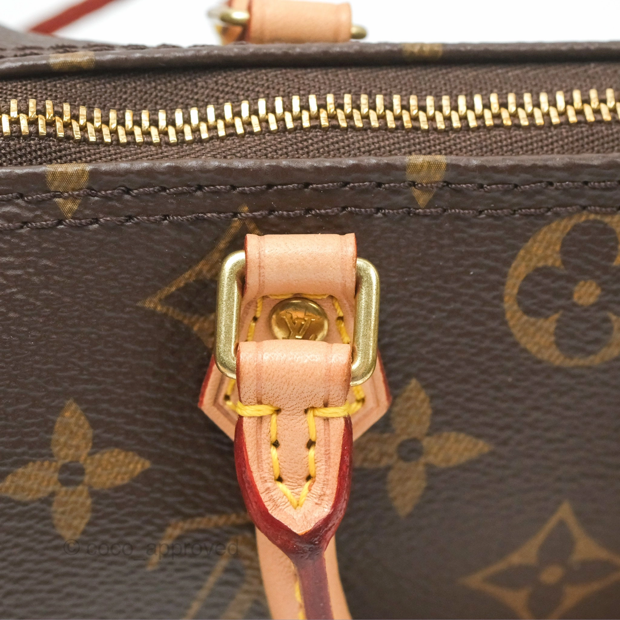 Louis Vuitton Nano Speedy Monogram Canvas