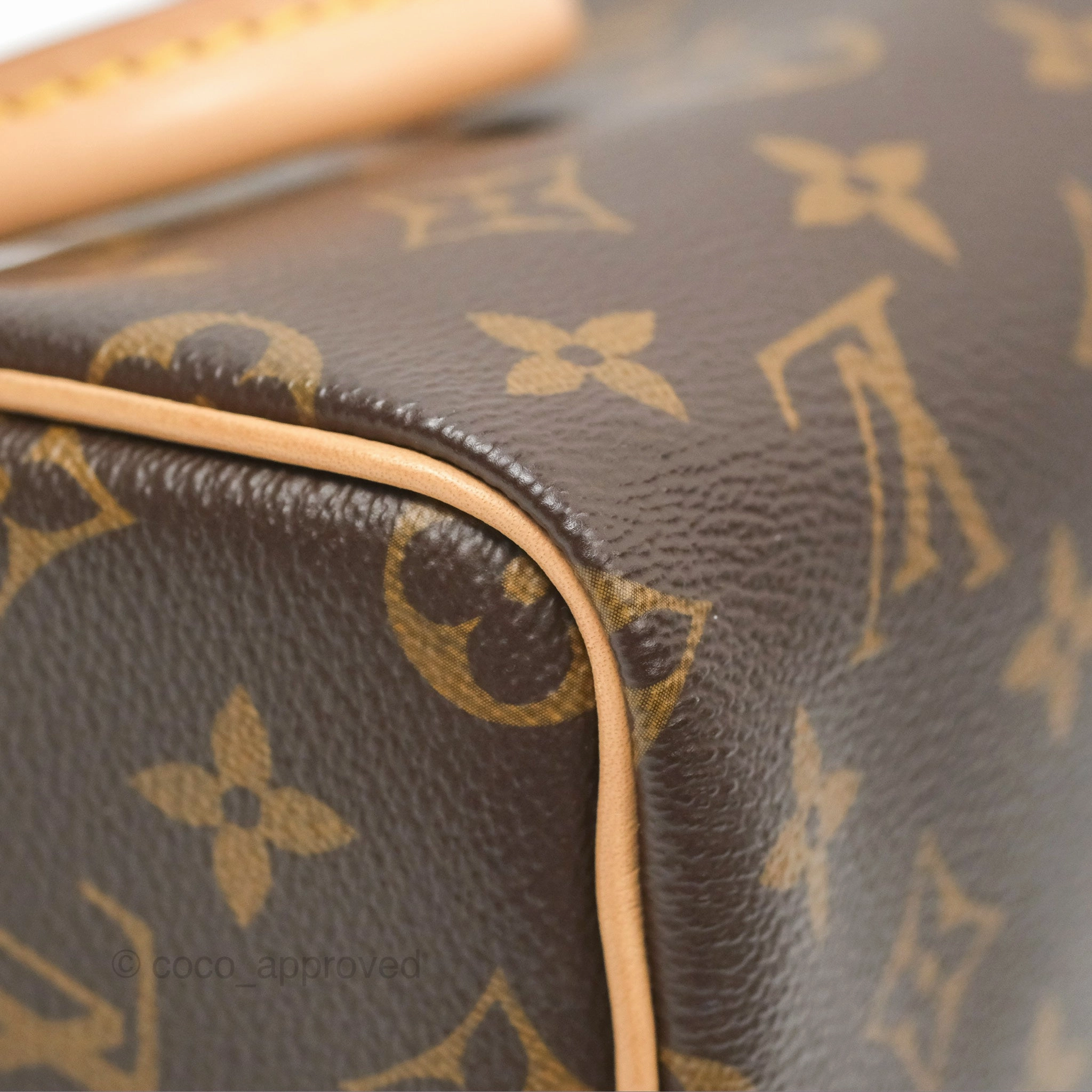 Louis Vuitton Nano Speedy Monogram Canvas
