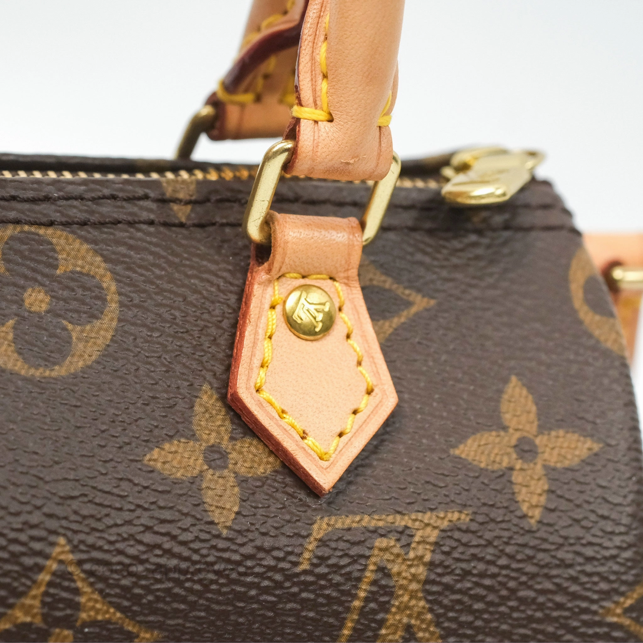 Louis Vuitton Nano Speedy Monogram Canvas