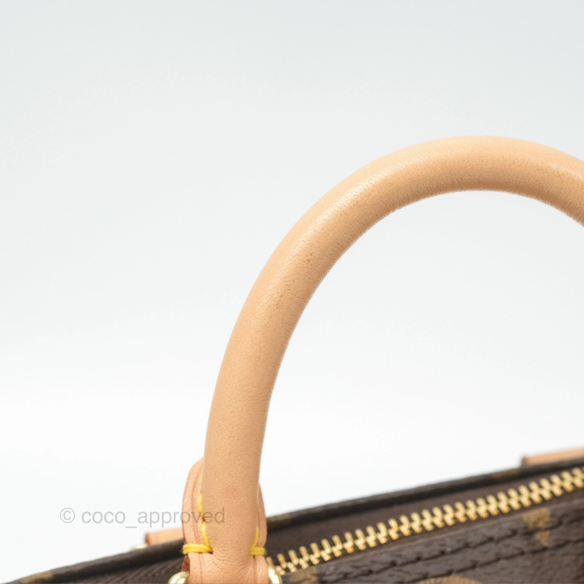 Louis Vuitton Nano Speedy Monogram Canvas