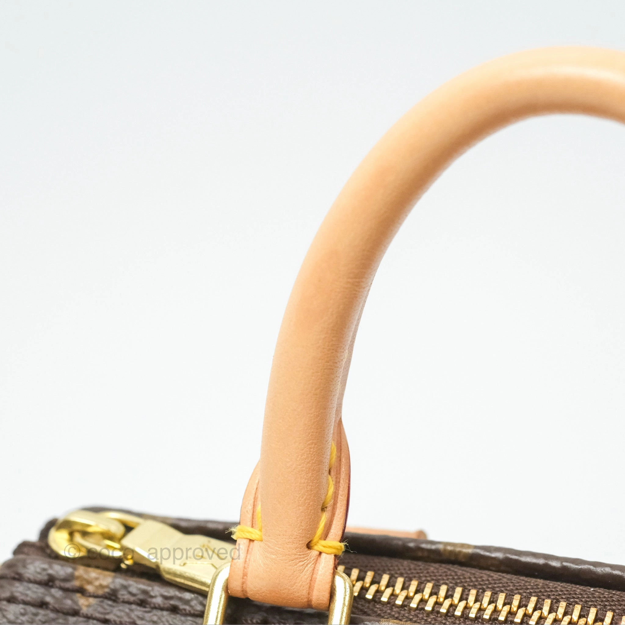 Louis Vuitton Nano Speedy Monogram Canvas