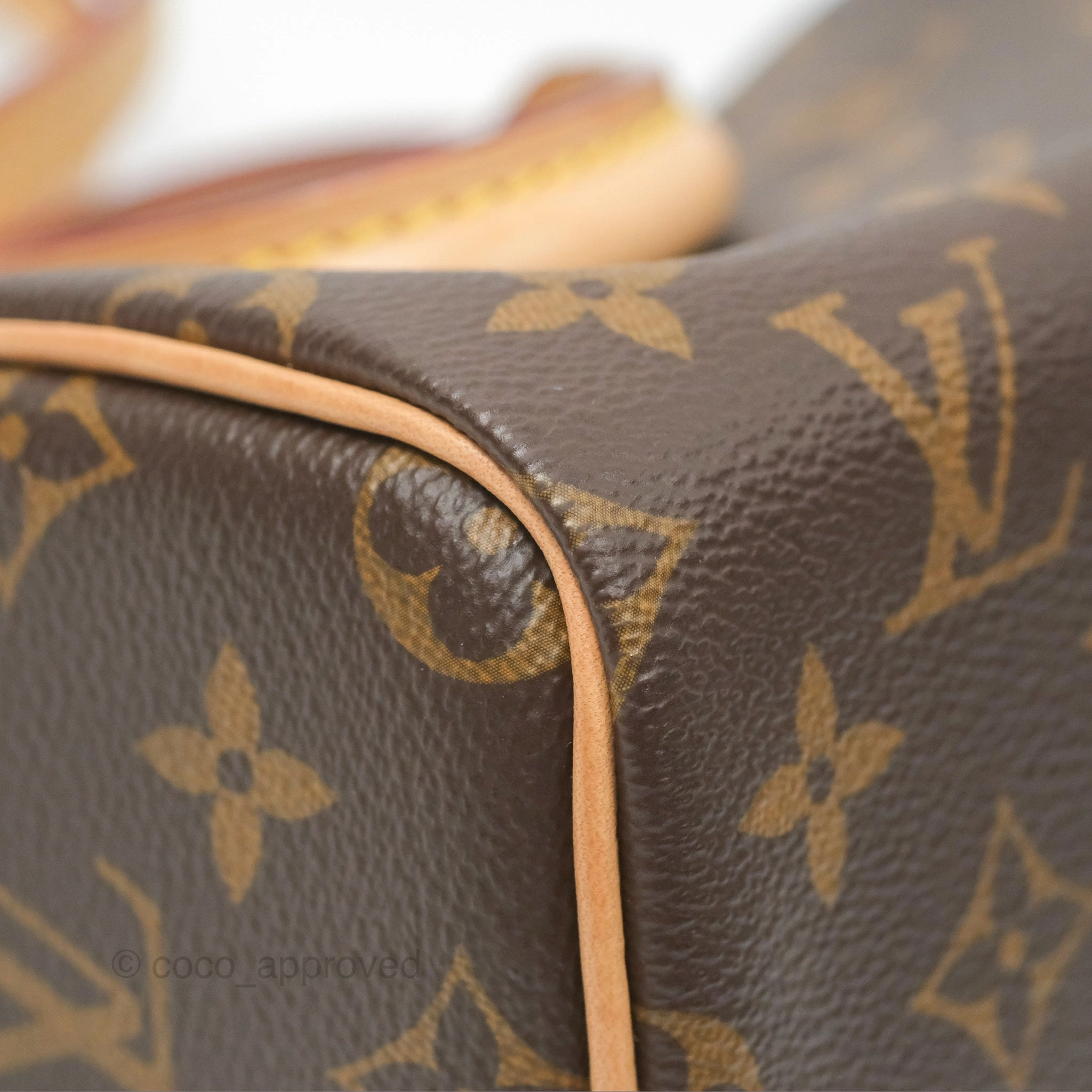 Louis Vuitton Nano Speedy Monogram Canvas