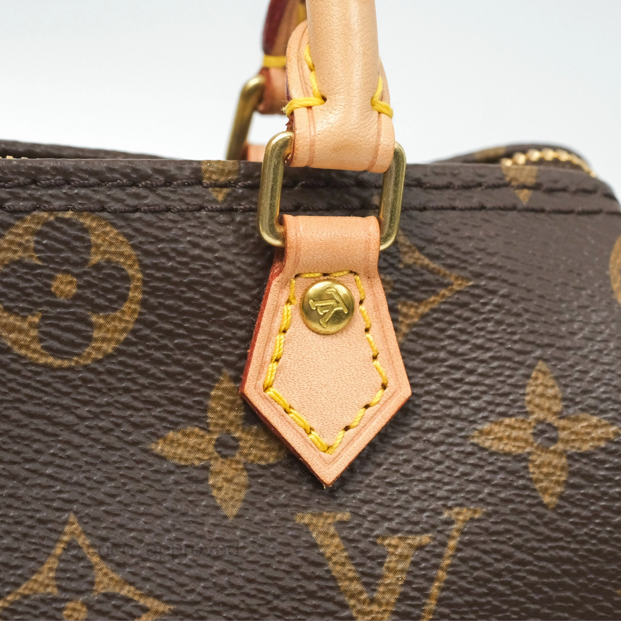 Louis Vuitton Nano Speedy Monogram Canvas