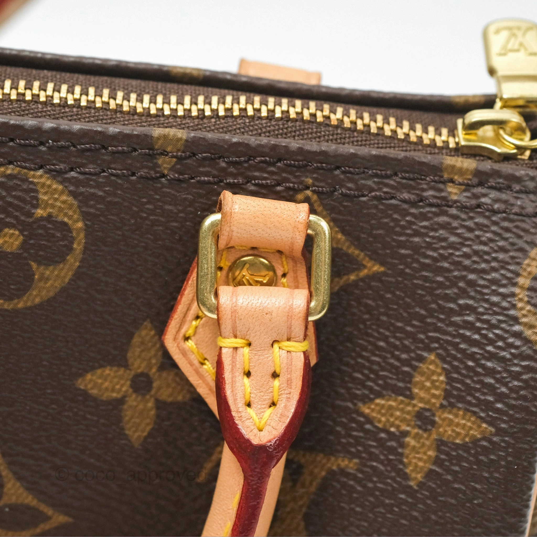 Louis Vuitton Nano Speedy Monogram Canvas