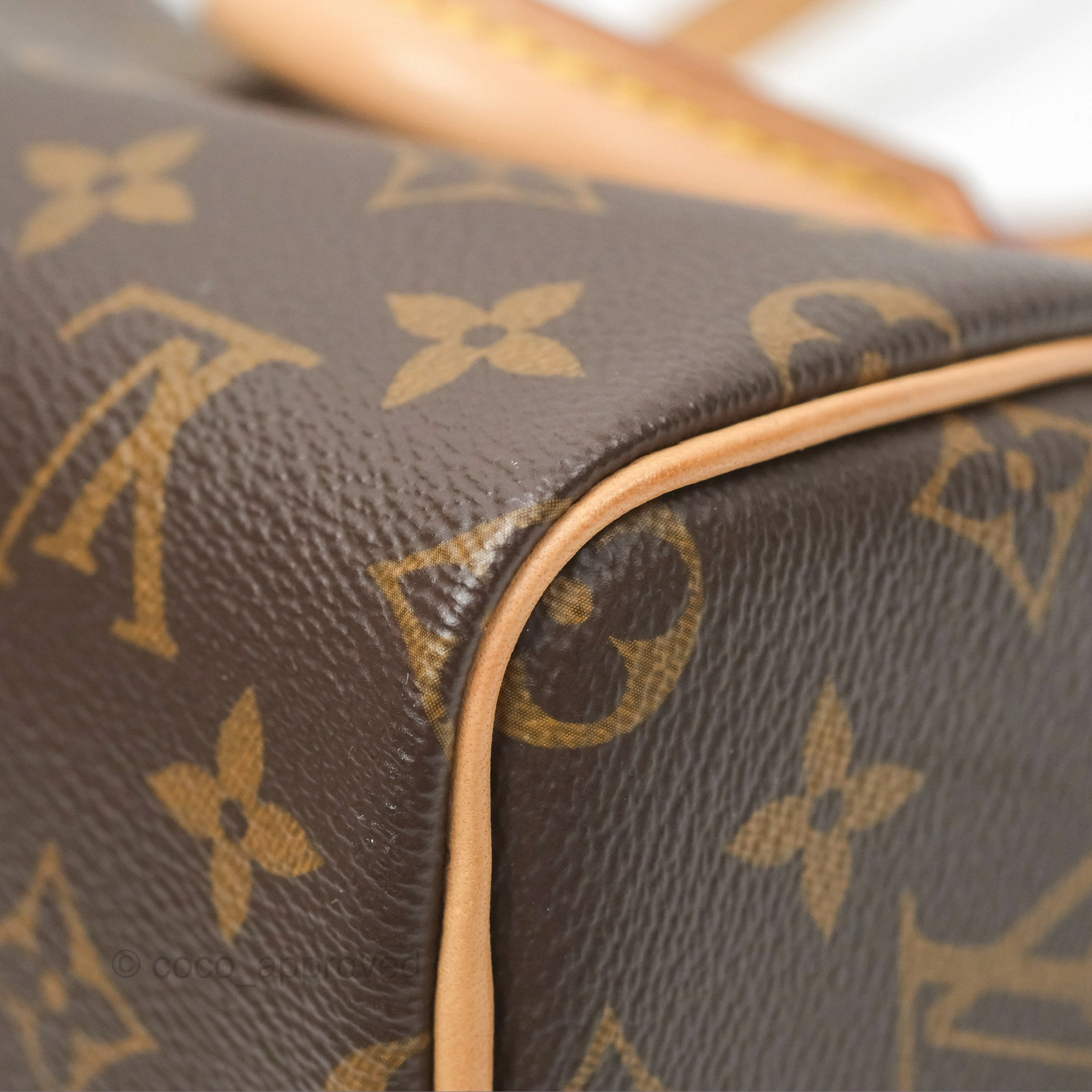 Louis Vuitton Nano Speedy Monogram Canvas