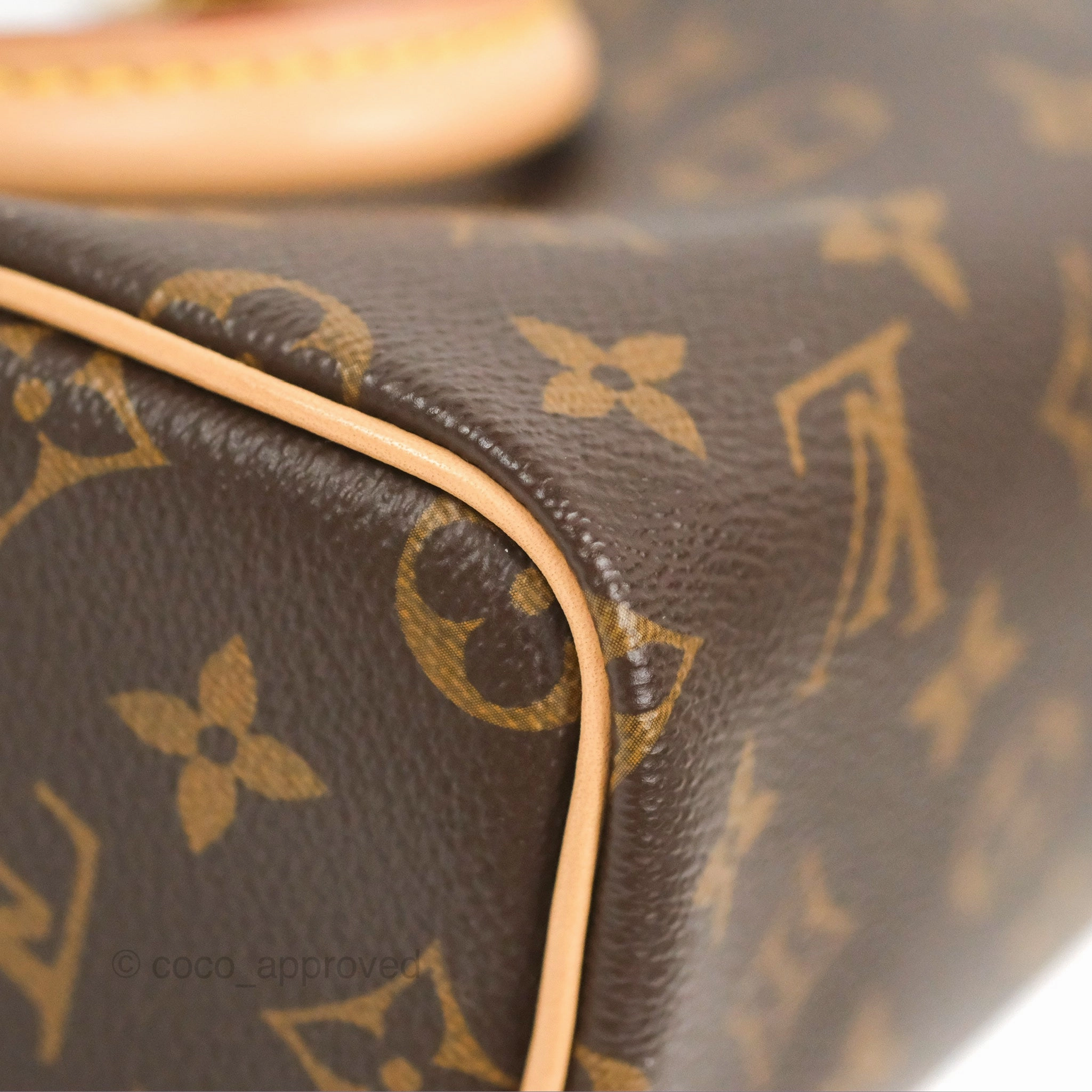 Louis Vuitton Nano Speedy Monogram