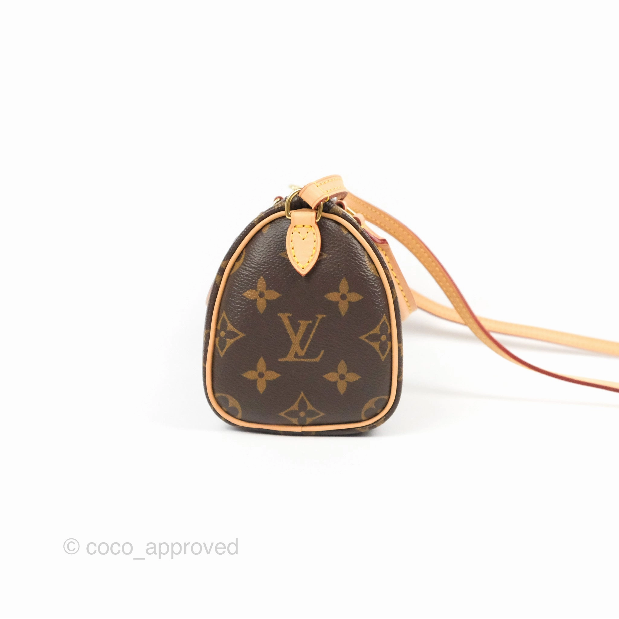 Louis Vuitton Nano Speedy Monogram