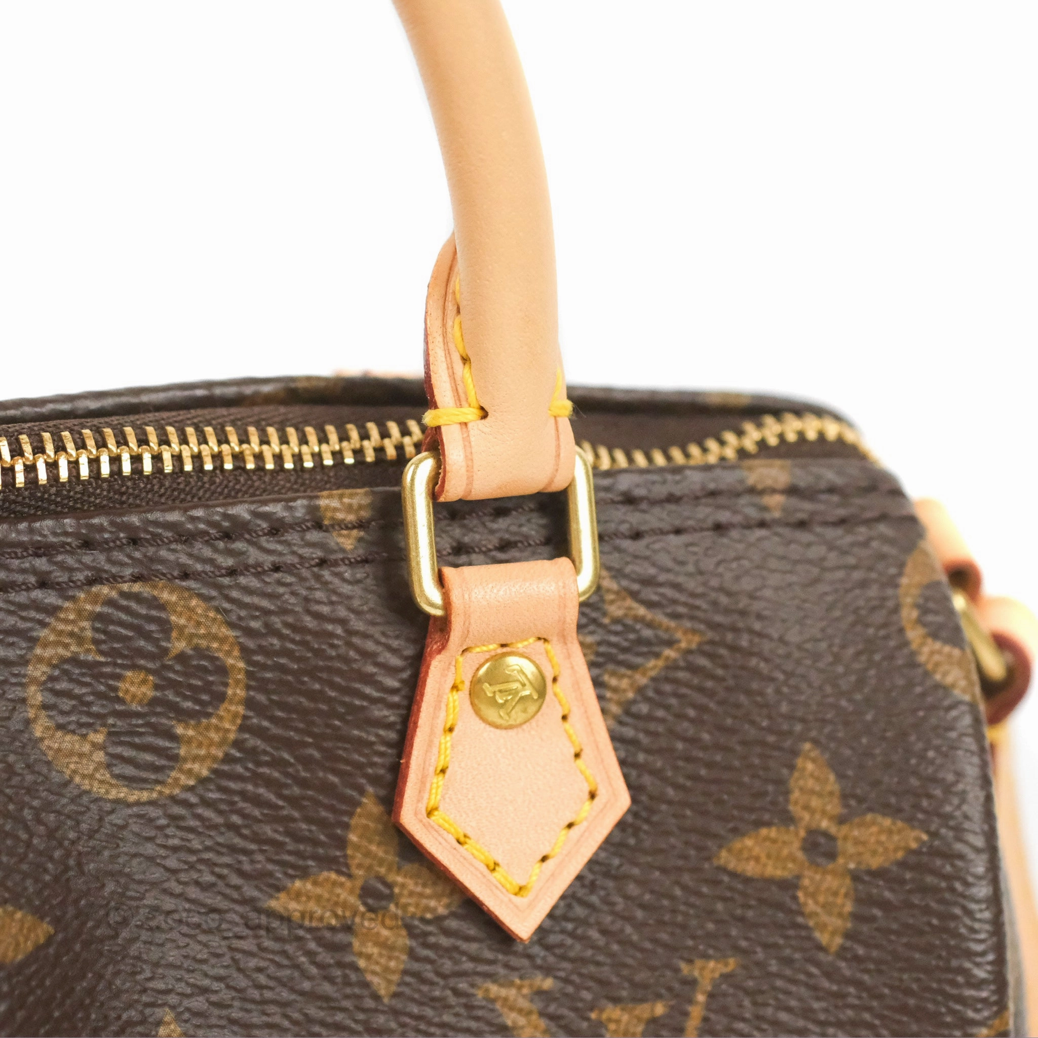 Louis Vuitton Nano Speedy Monogram
