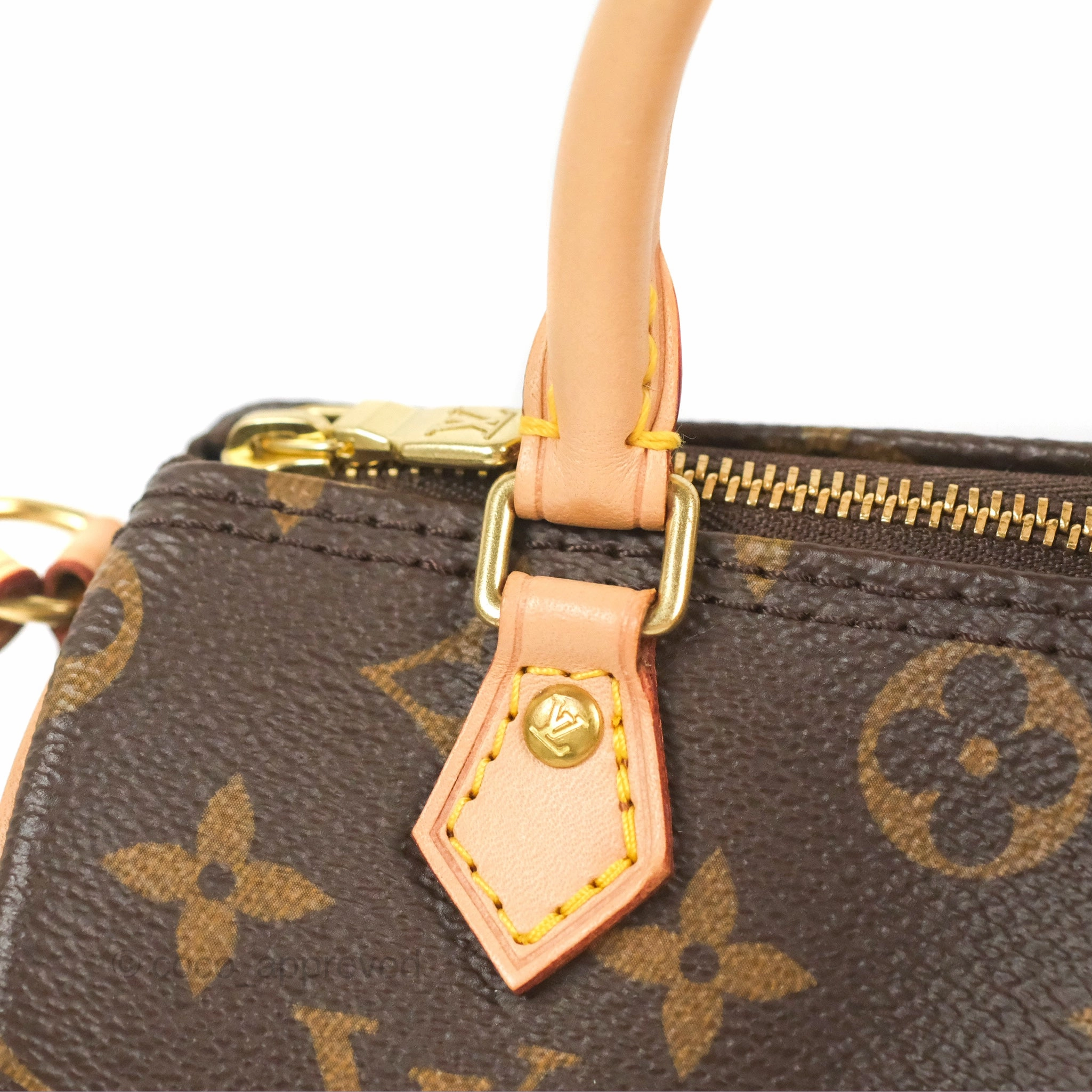 Louis Vuitton Nano Speedy Monogram