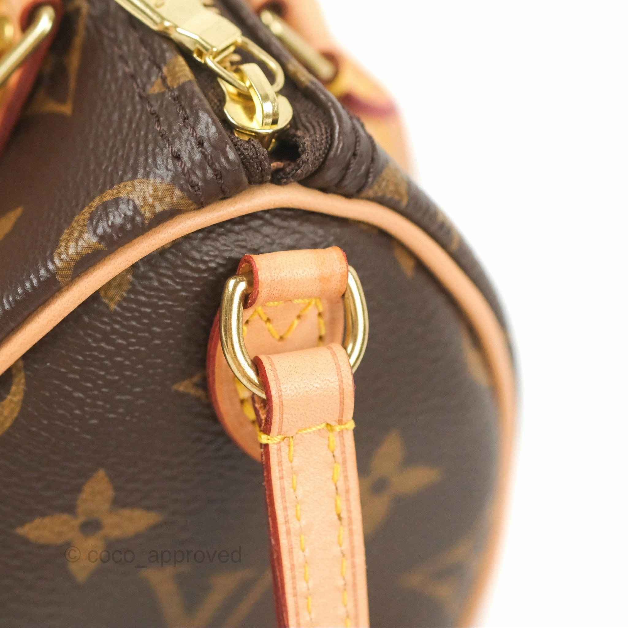 Louis Vuitton Nano Speedy Monogram