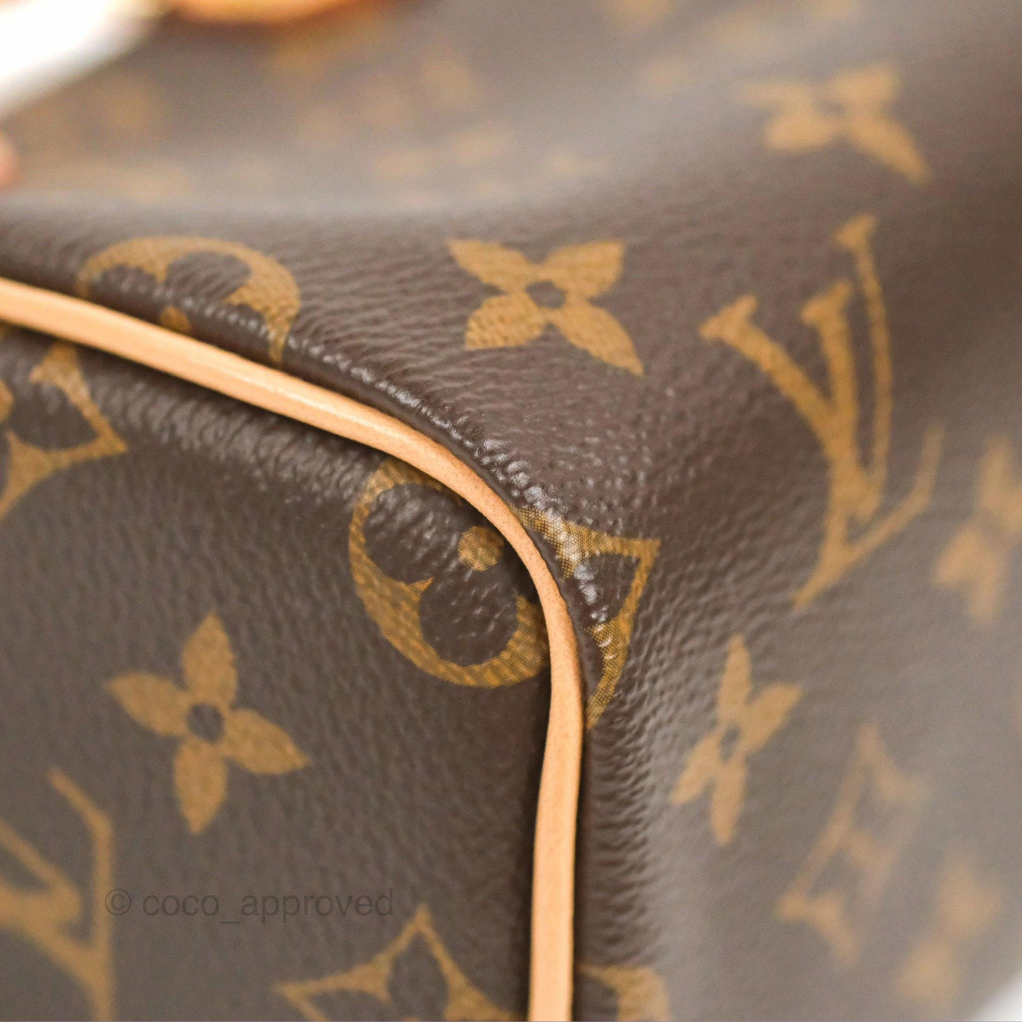 Louis Vuitton Nano Speedy Monogram