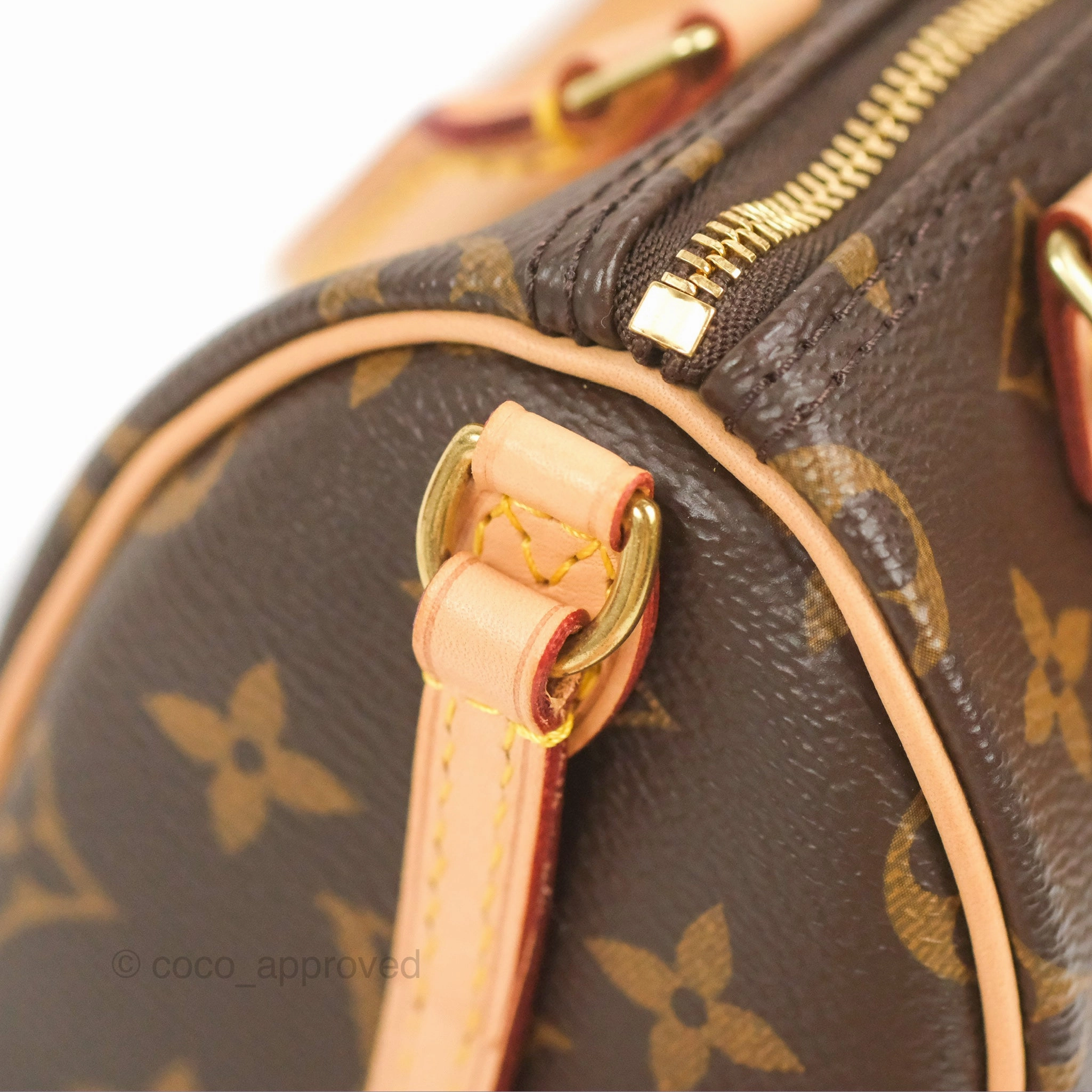 Louis Vuitton Nano Speedy Monogram