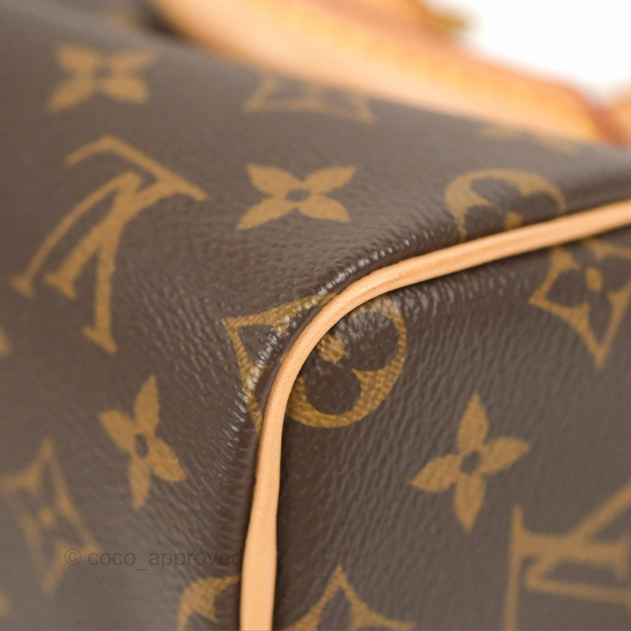 Louis Vuitton Nano Speedy Monogram