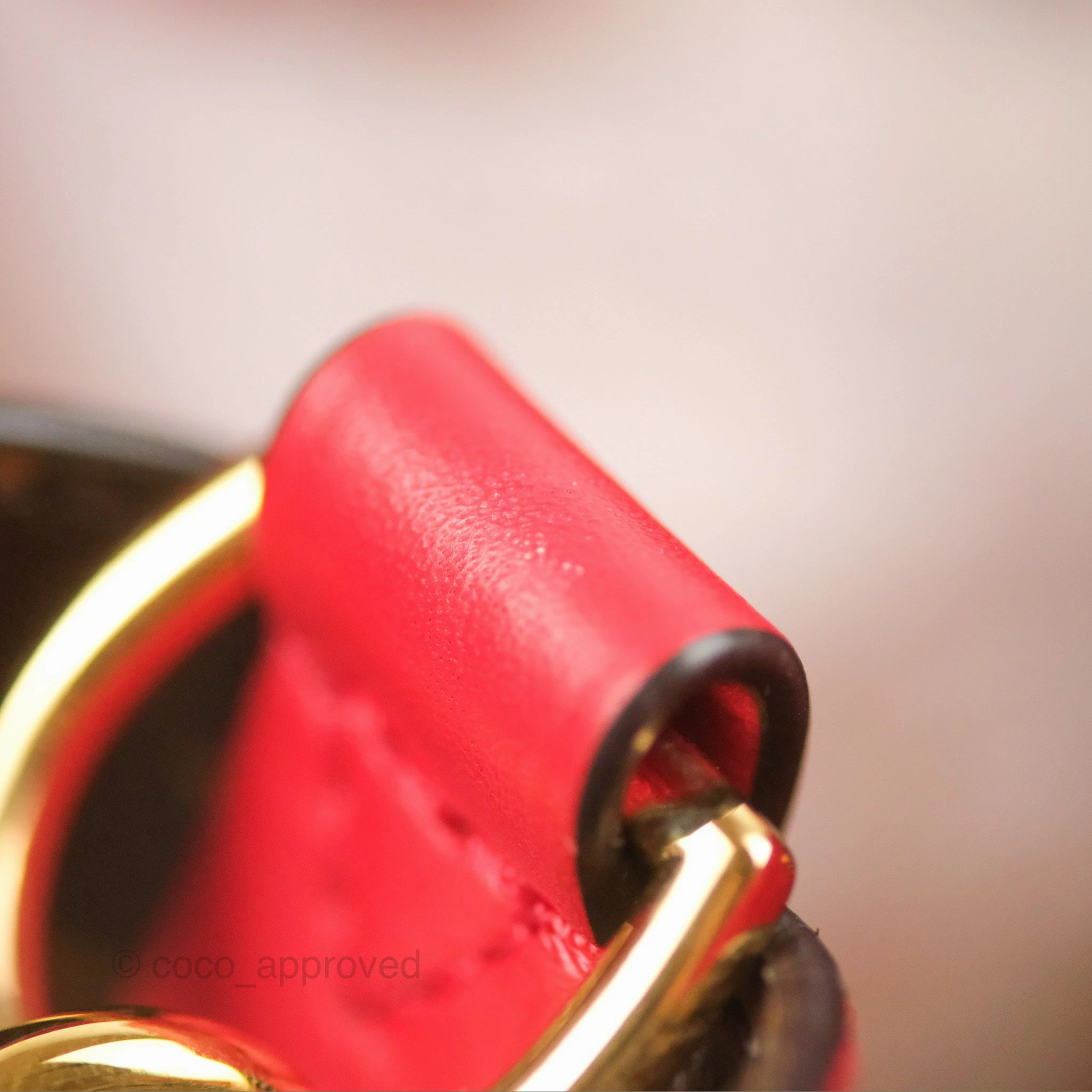 Louis Vuitton Neonoe Bucket Bag MM Monogram Canvas Red