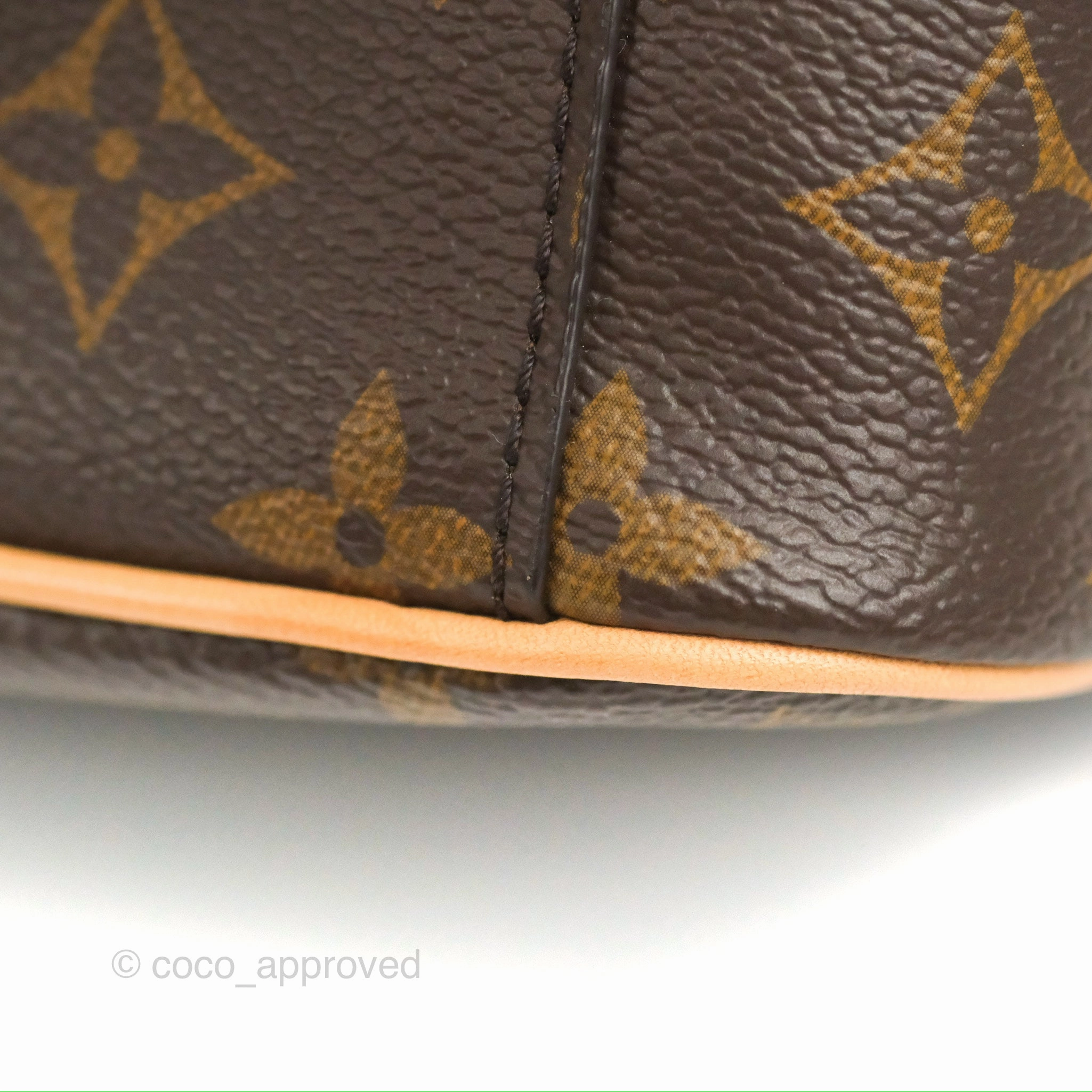 Louis Vuitton Nice Mini Monogram Canvas