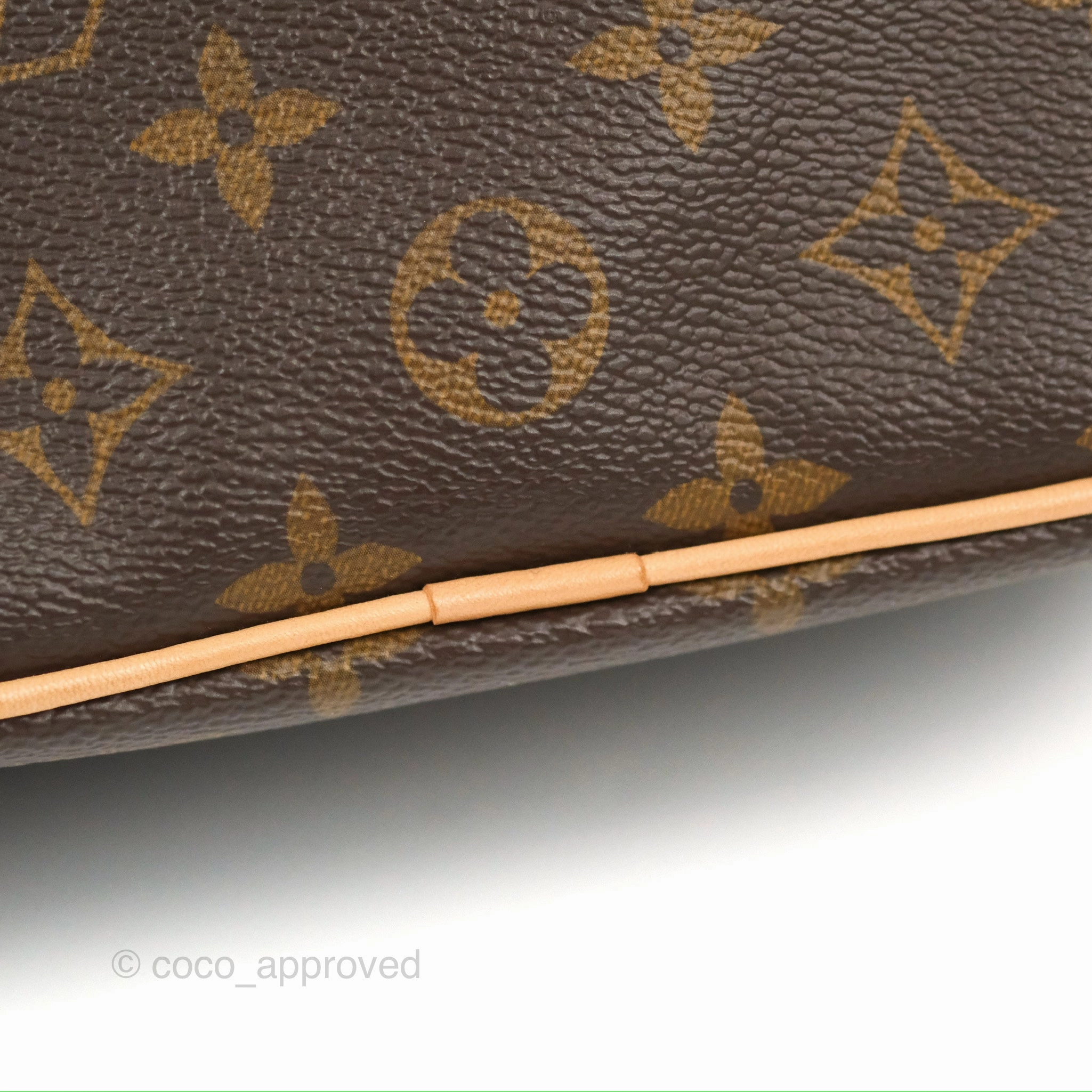Louis Vuitton Nice Mini Monogram Canvas
