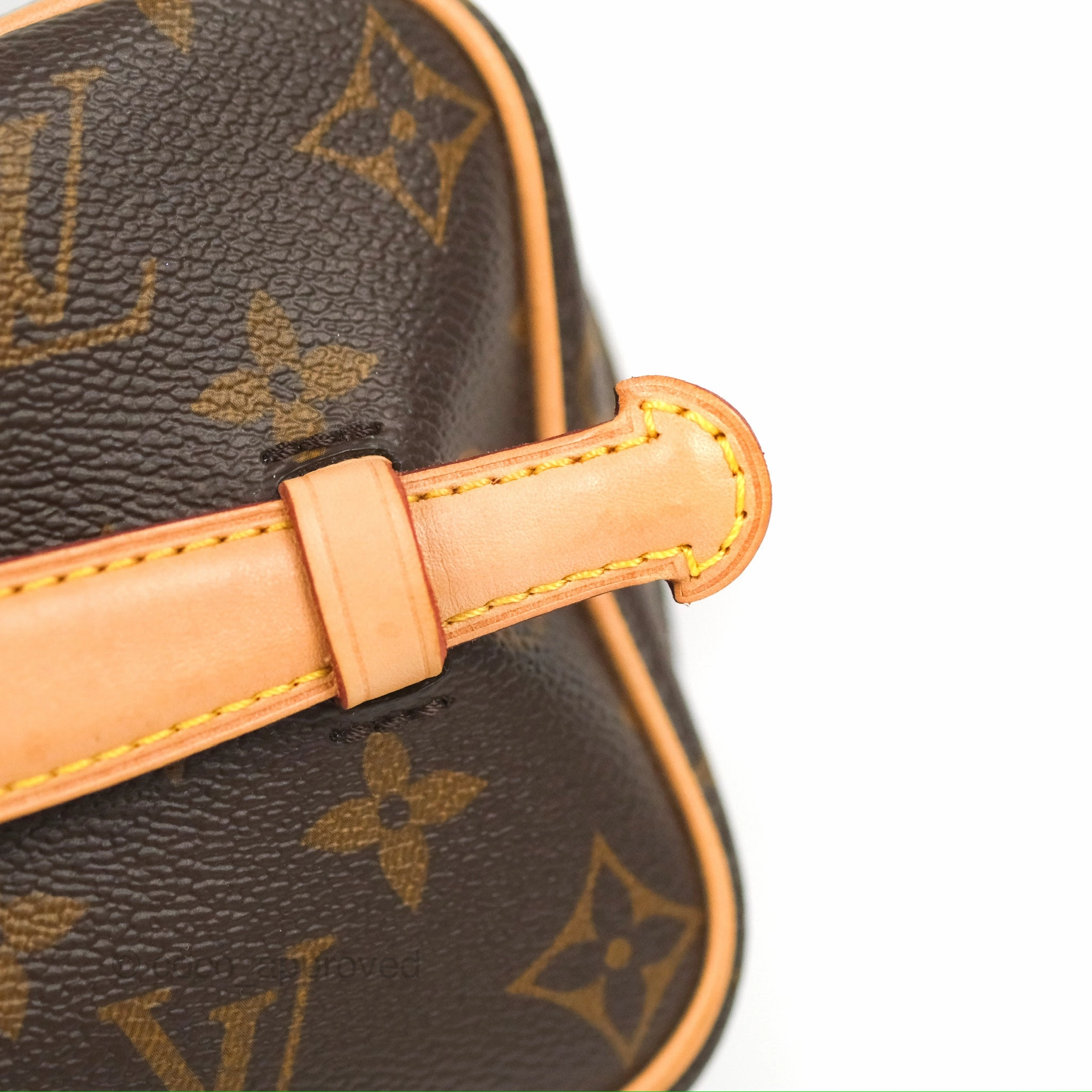Louis Vuitton Nice Mini Monogram Canvas