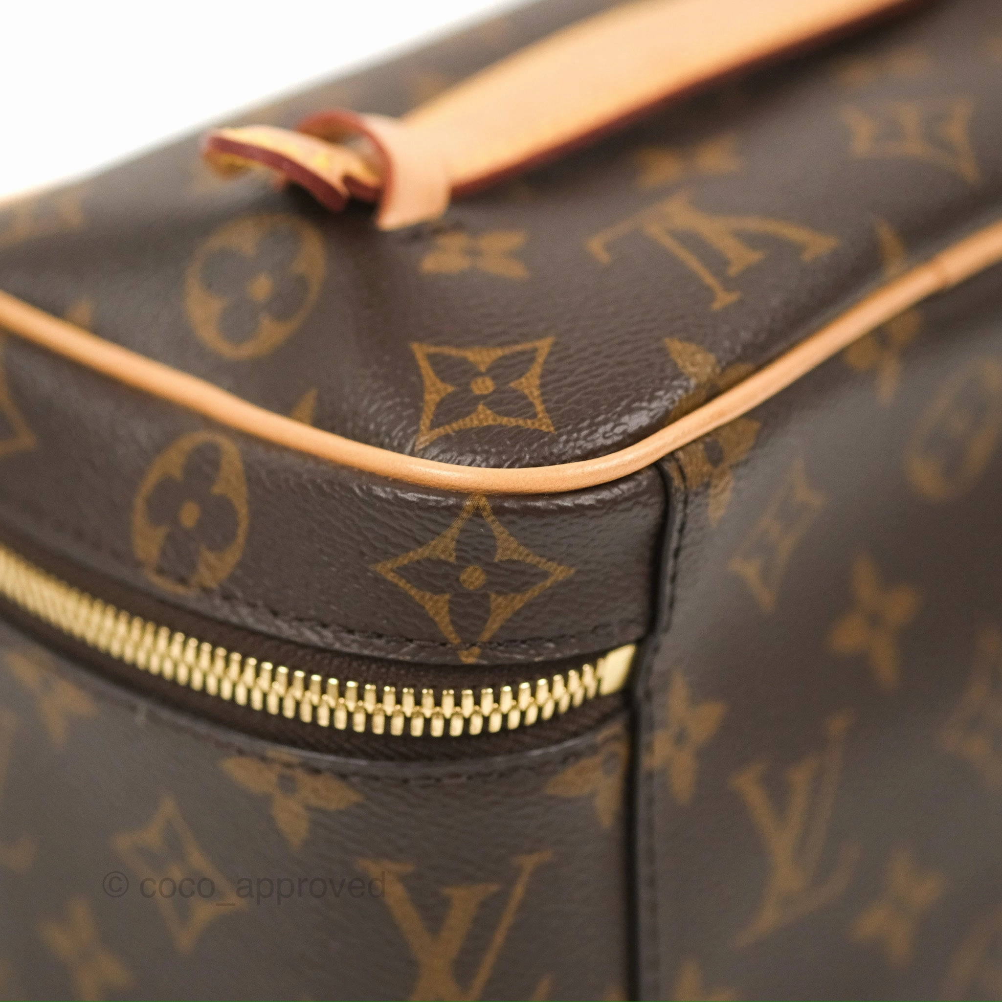 Louis Vuitton Nice Mini Monogram Canvas