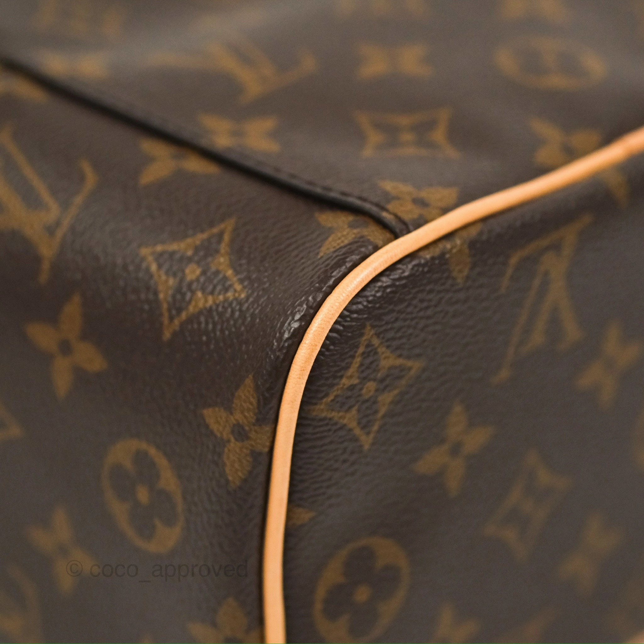 Louis Vuitton Nice Mini Monogram Canvas