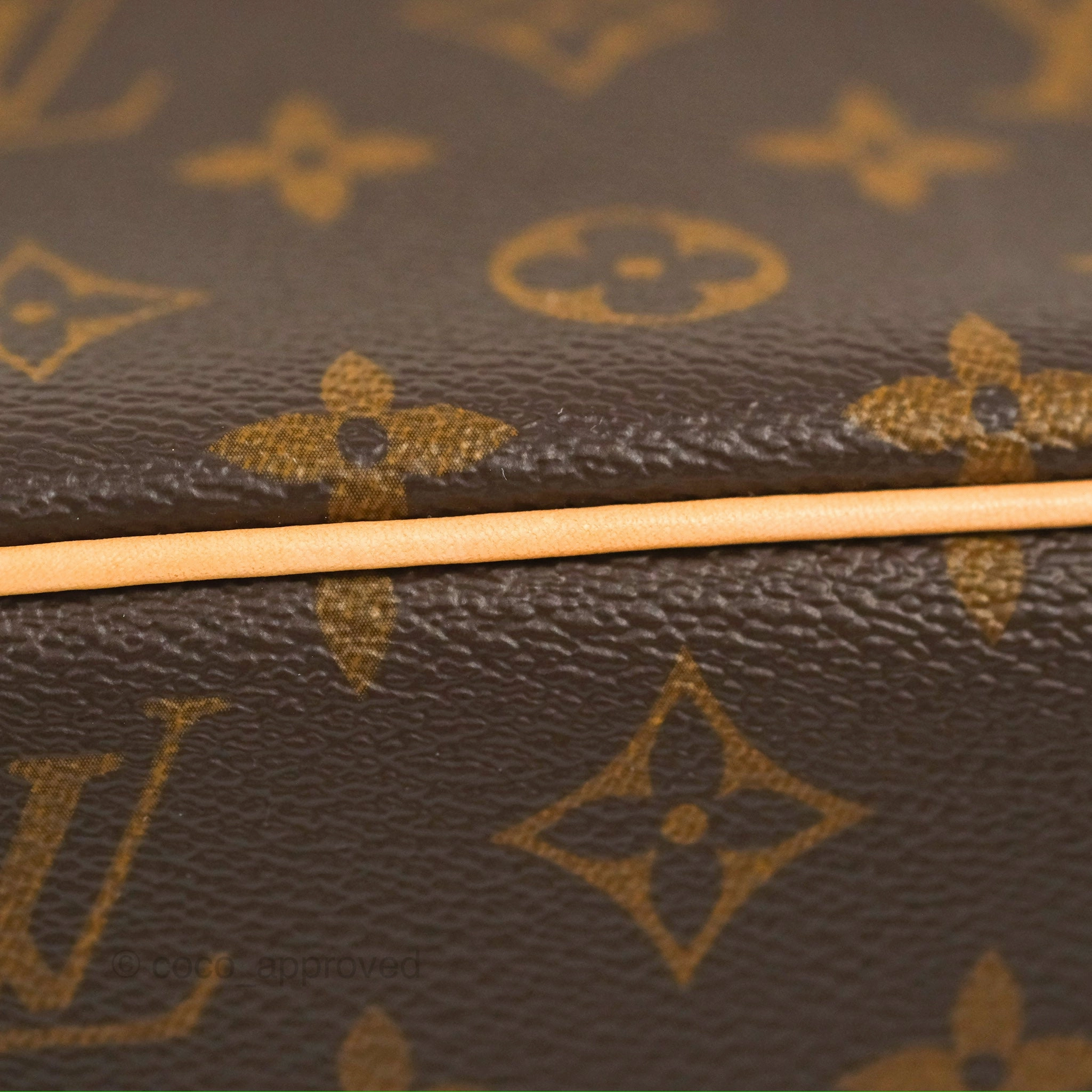 Louis Vuitton Nice Mini Monogram Canvas