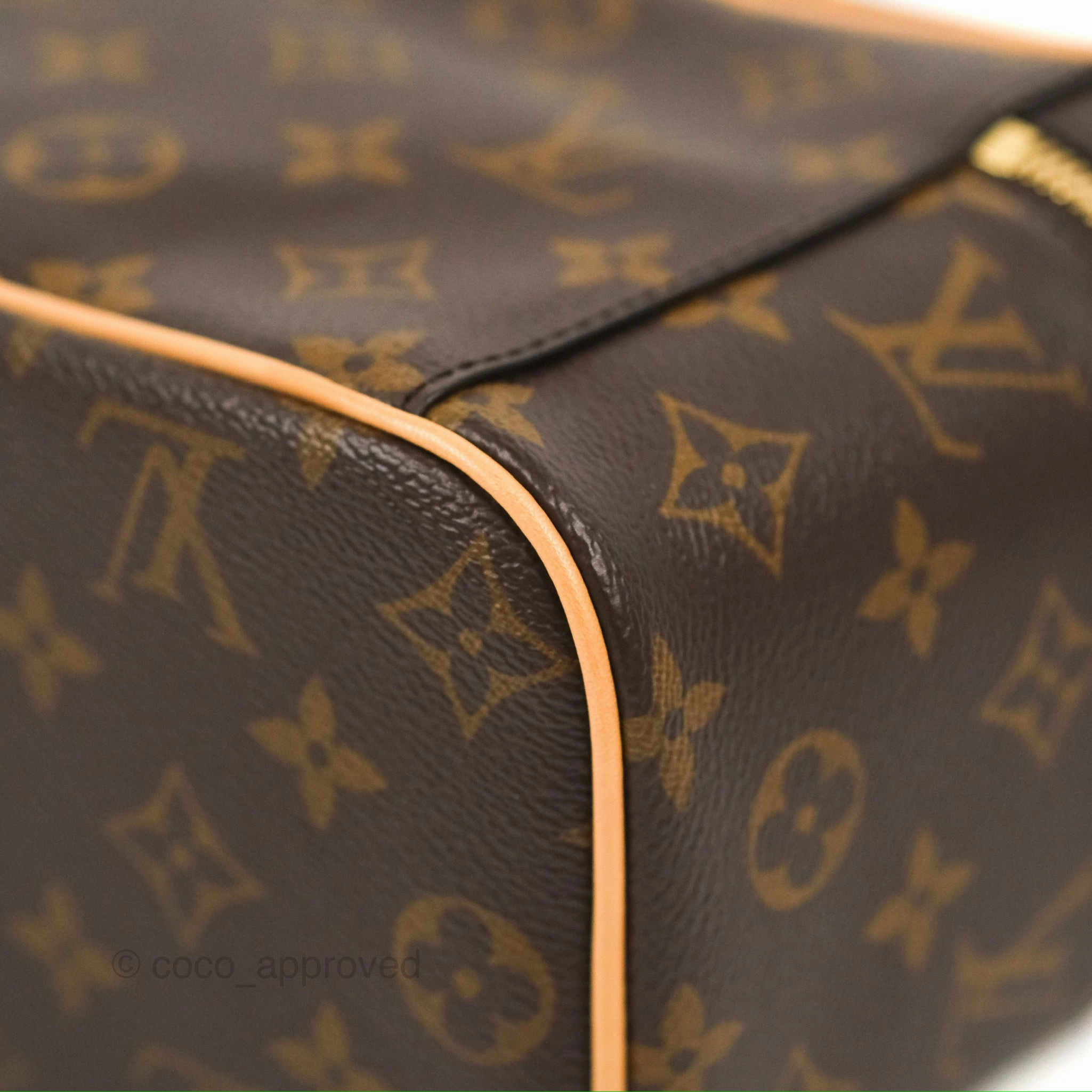 Louis Vuitton Nice Mini Monogram Canvas