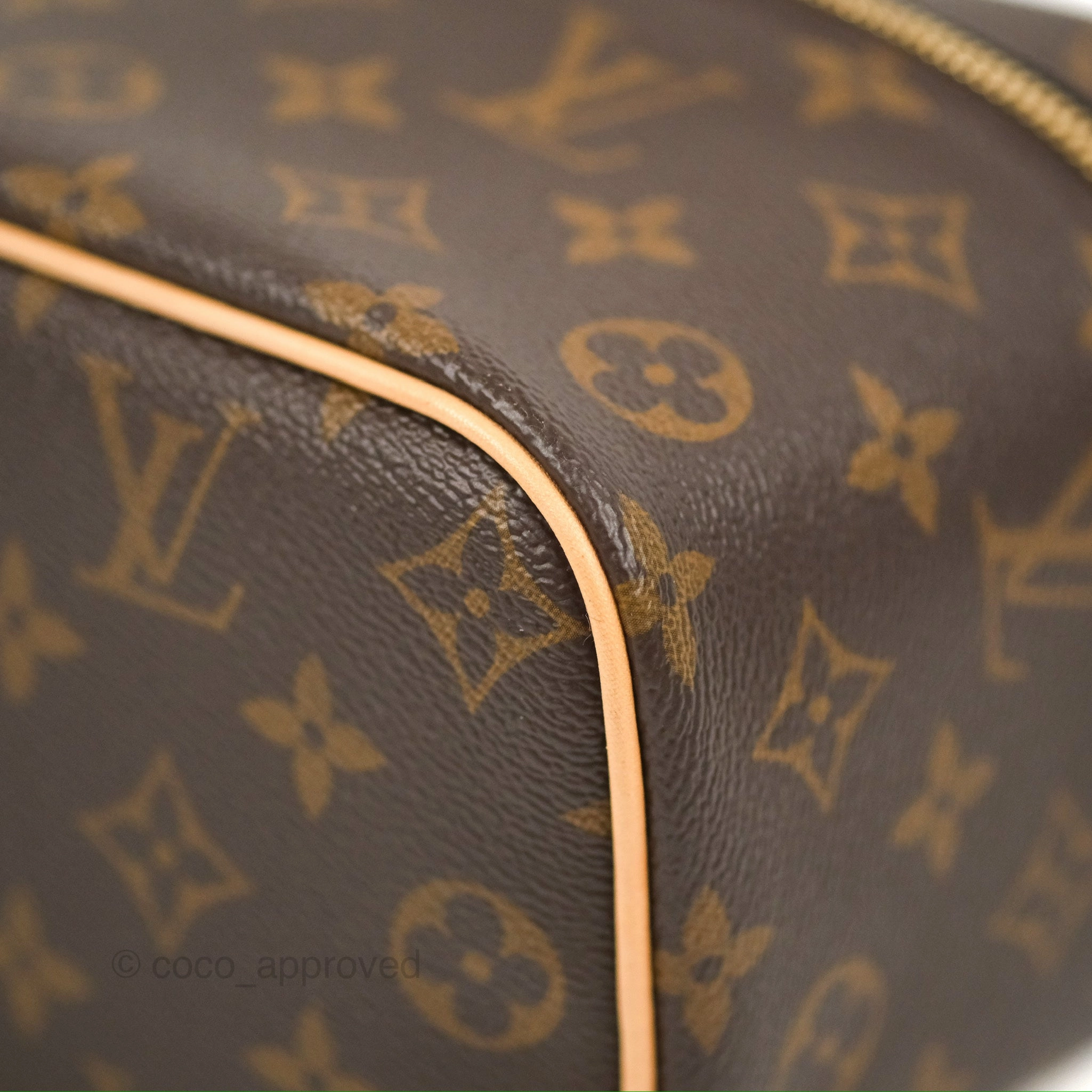 Louis Vuitton Nice Mini Monogram Canvas