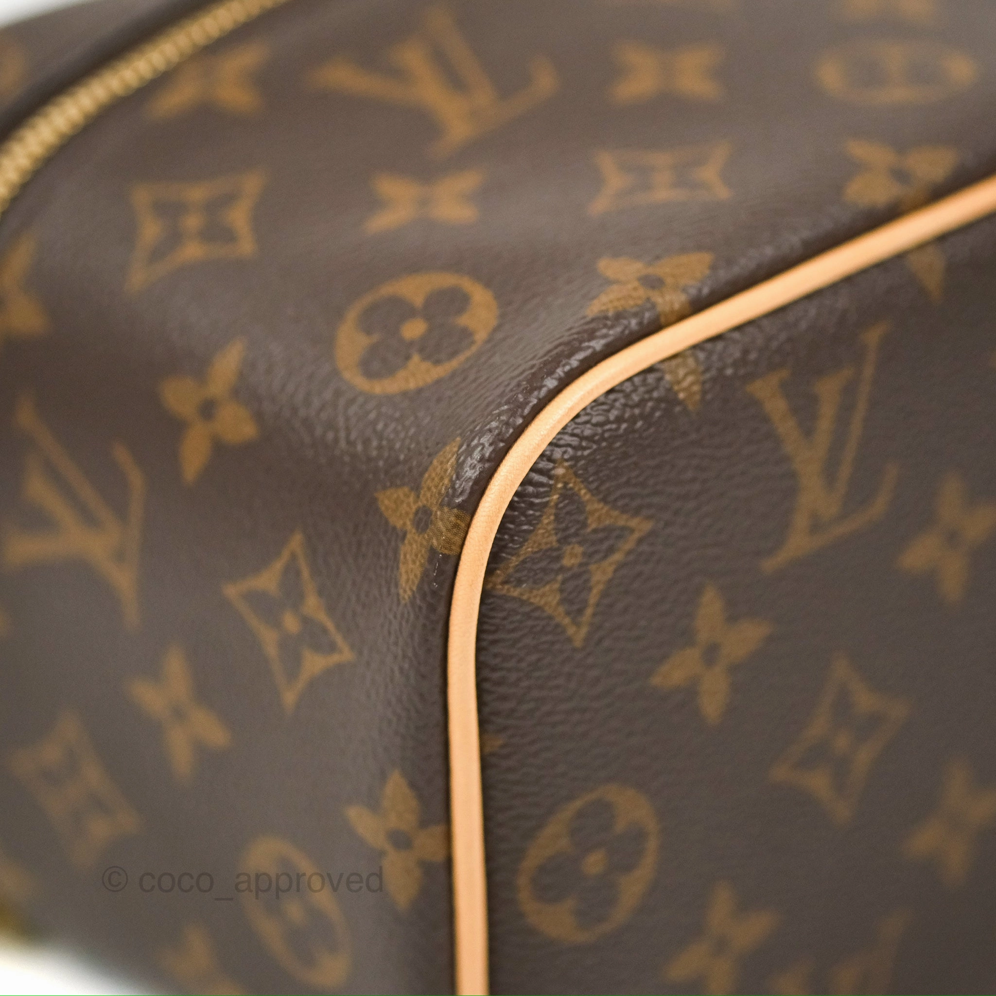 Louis Vuitton Nice Mini Monogram Canvas