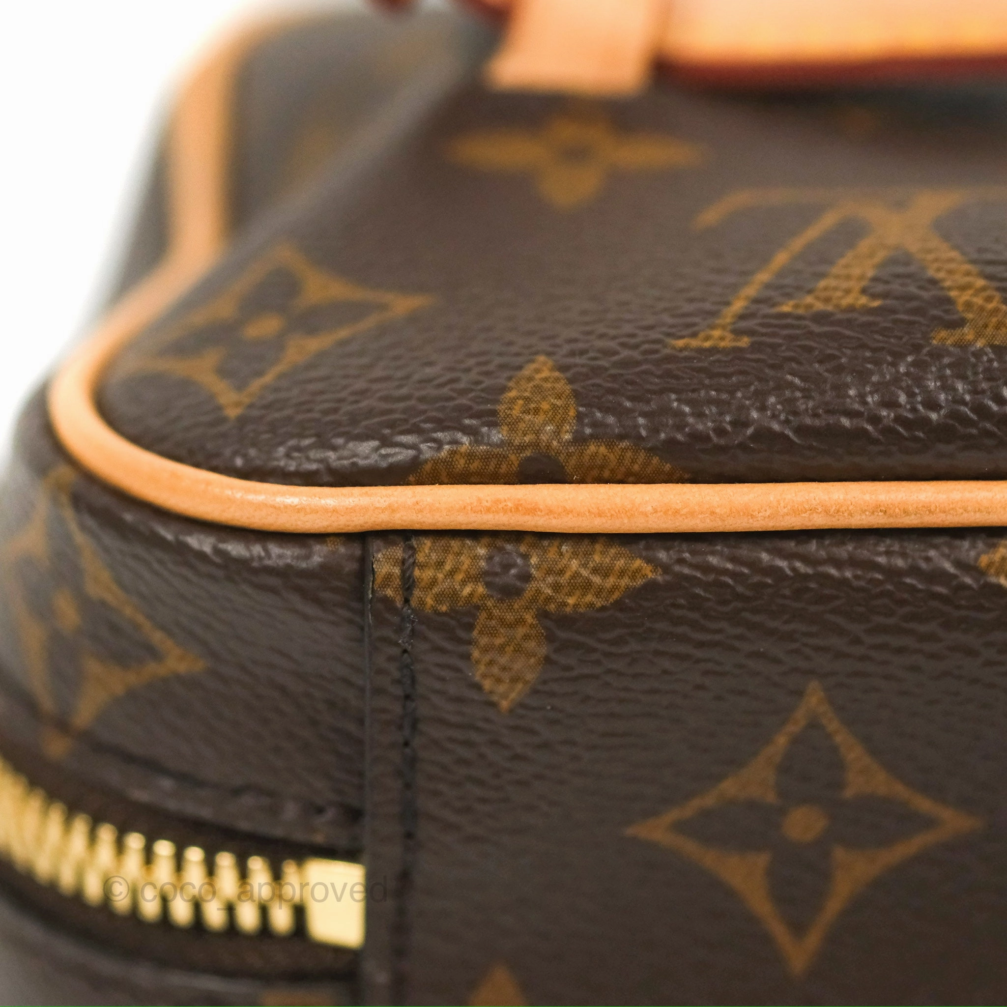 Louis Vuitton Nice Mini Monogram Canvas
