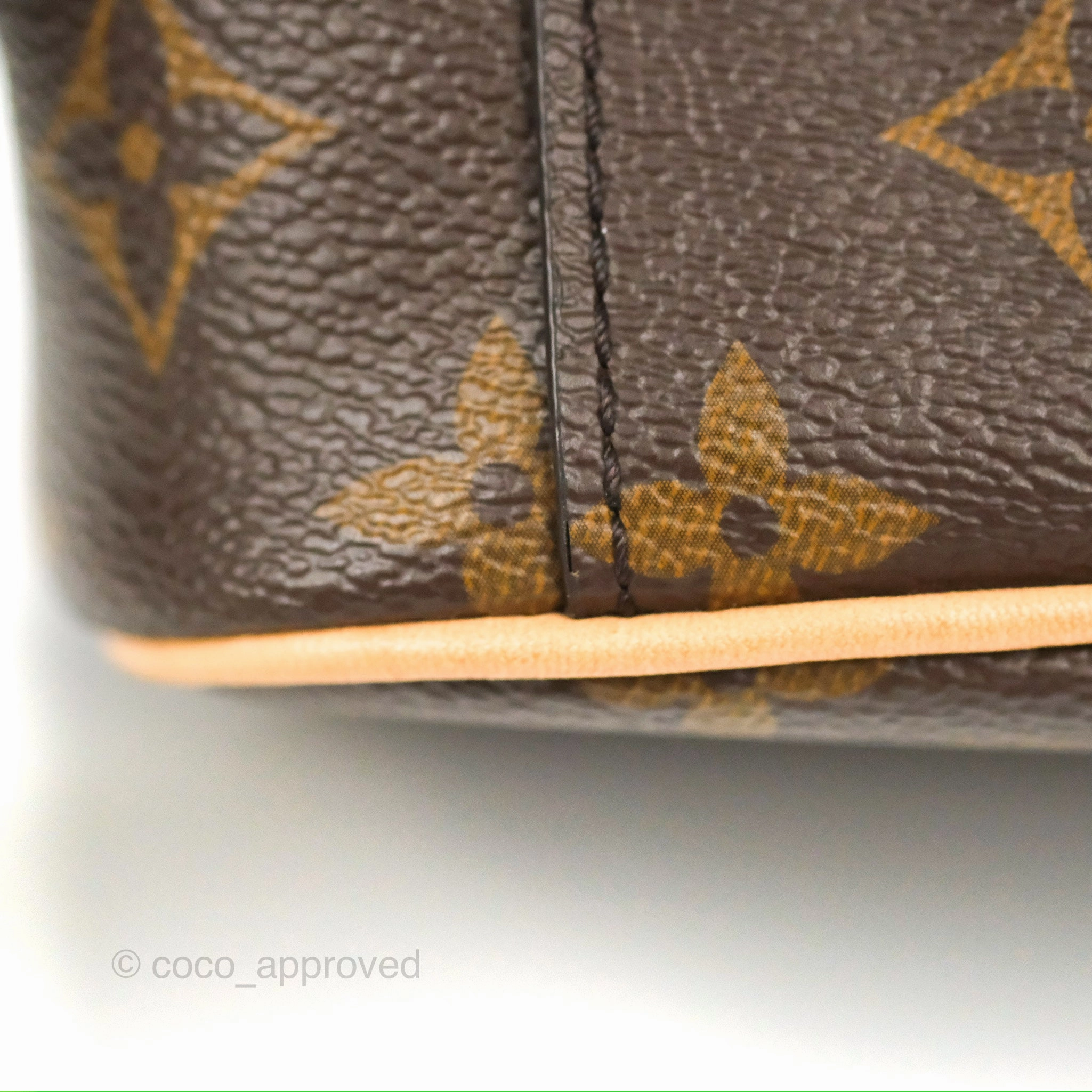 Louis Vuitton Nice Mini Monogram Canvas