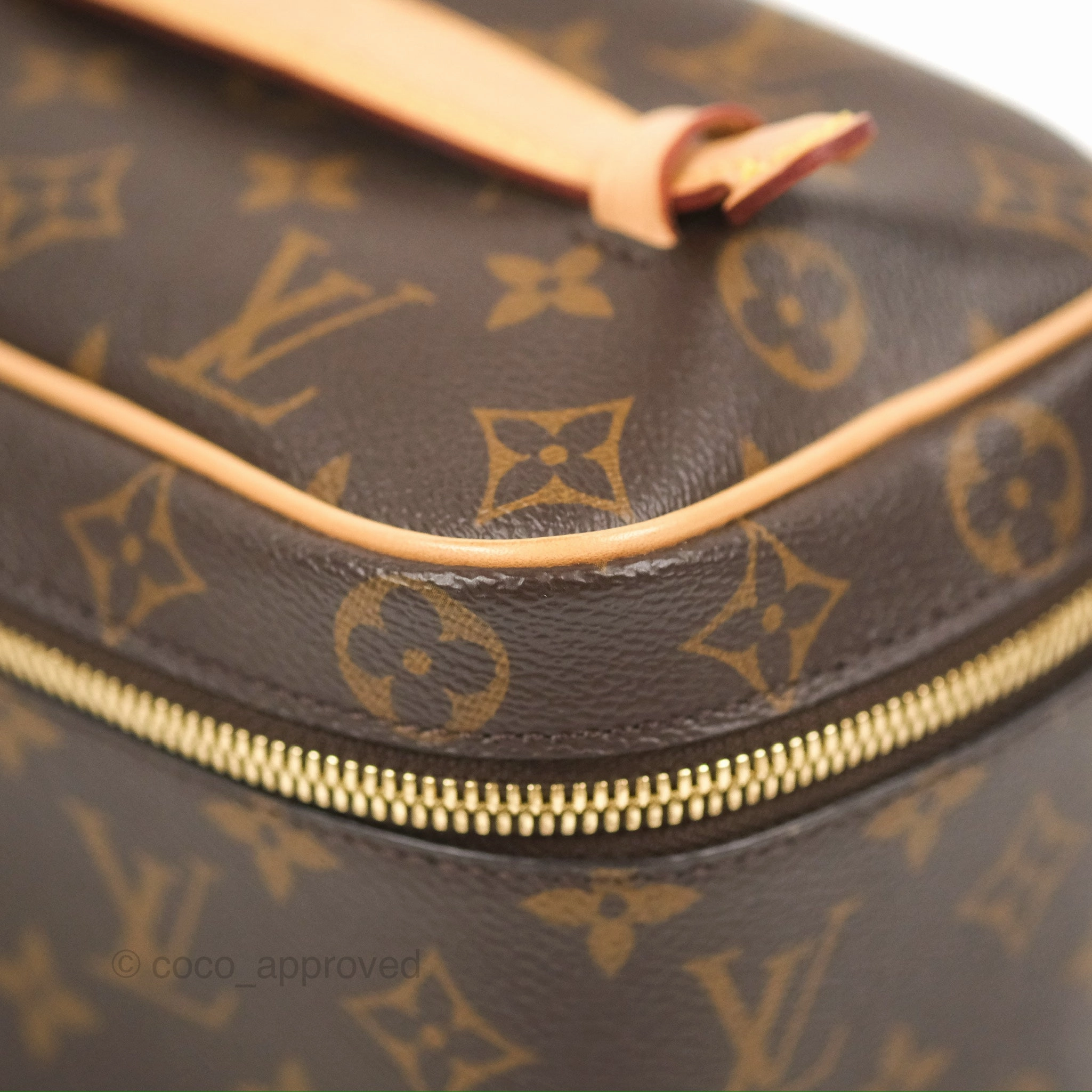 Louis Vuitton Nice Mini Monogram Canvas