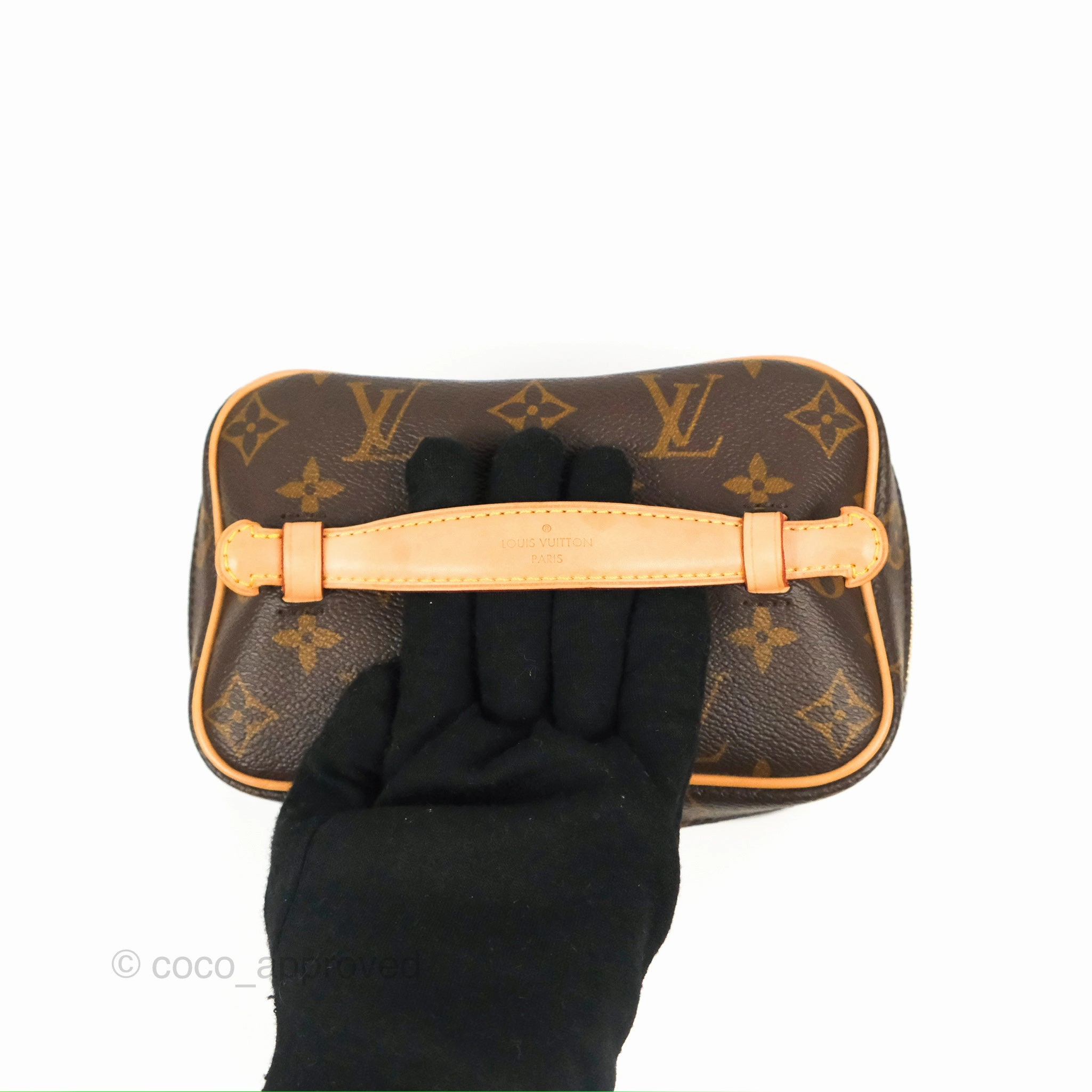 Louis Vuitton Nice Mini Monogram Canvas
