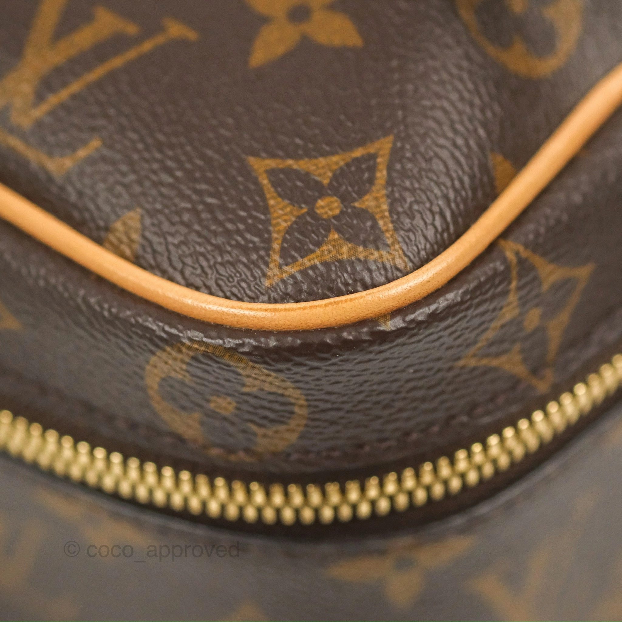 Louis Vuitton Nice Mini Monogram Canvas