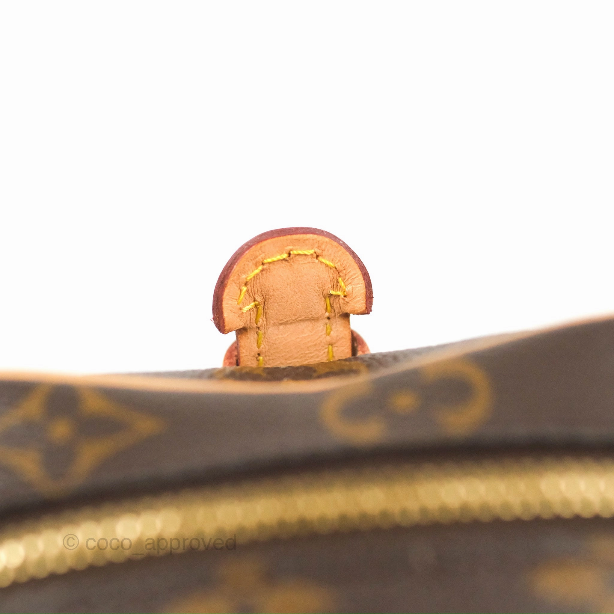 Louis Vuitton Nice Mini Monogram Canvas