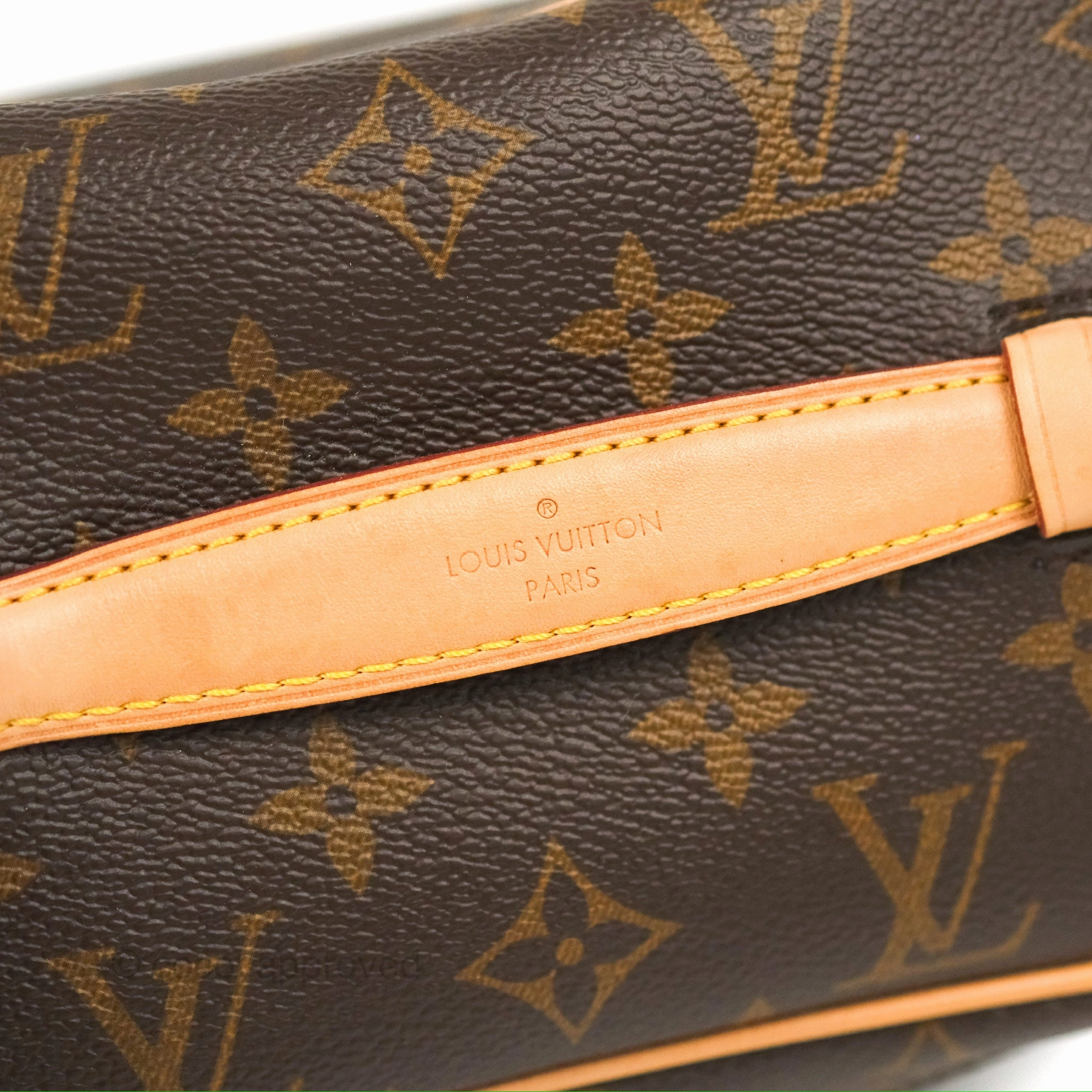 Louis Vuitton Nice Mini Monogram Canvas