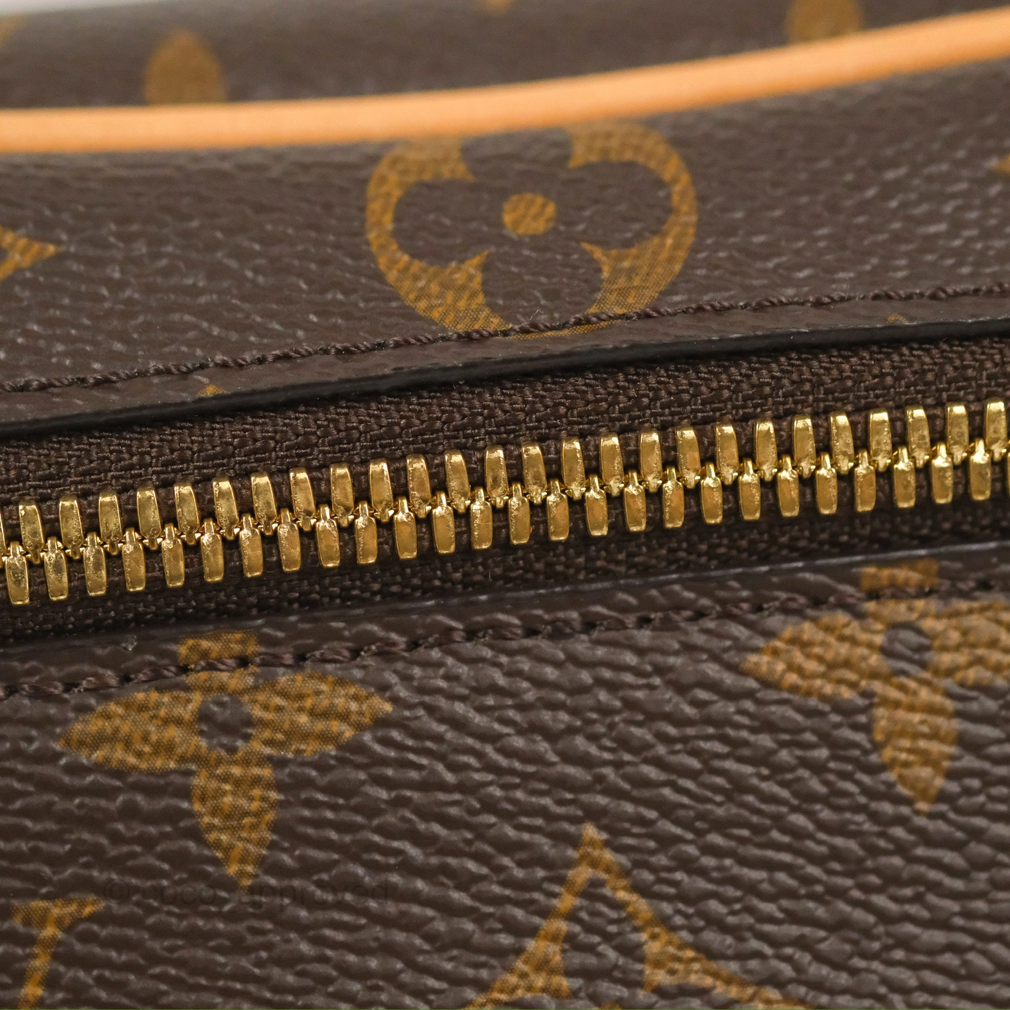 Louis Vuitton Nice Mini Monogram Canvas