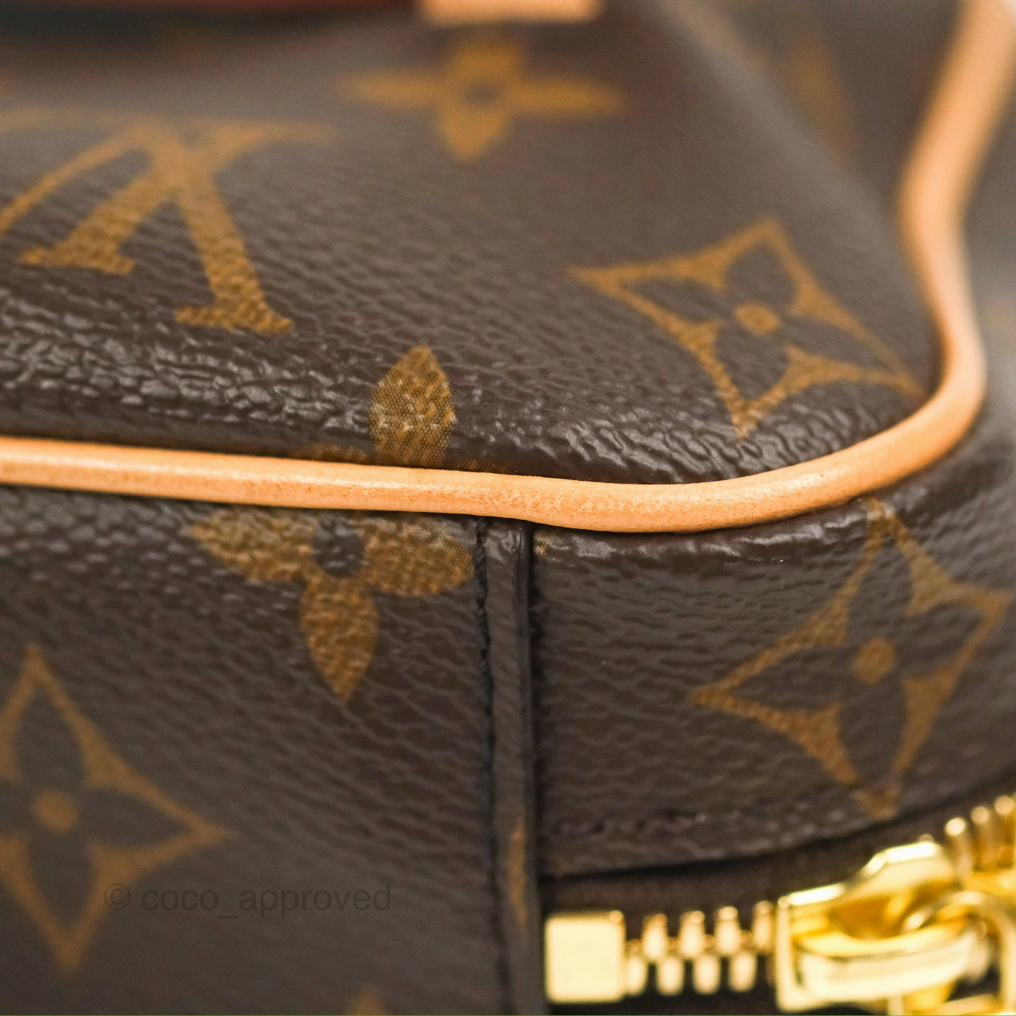 Louis Vuitton Nice Mini Monogram Canvas